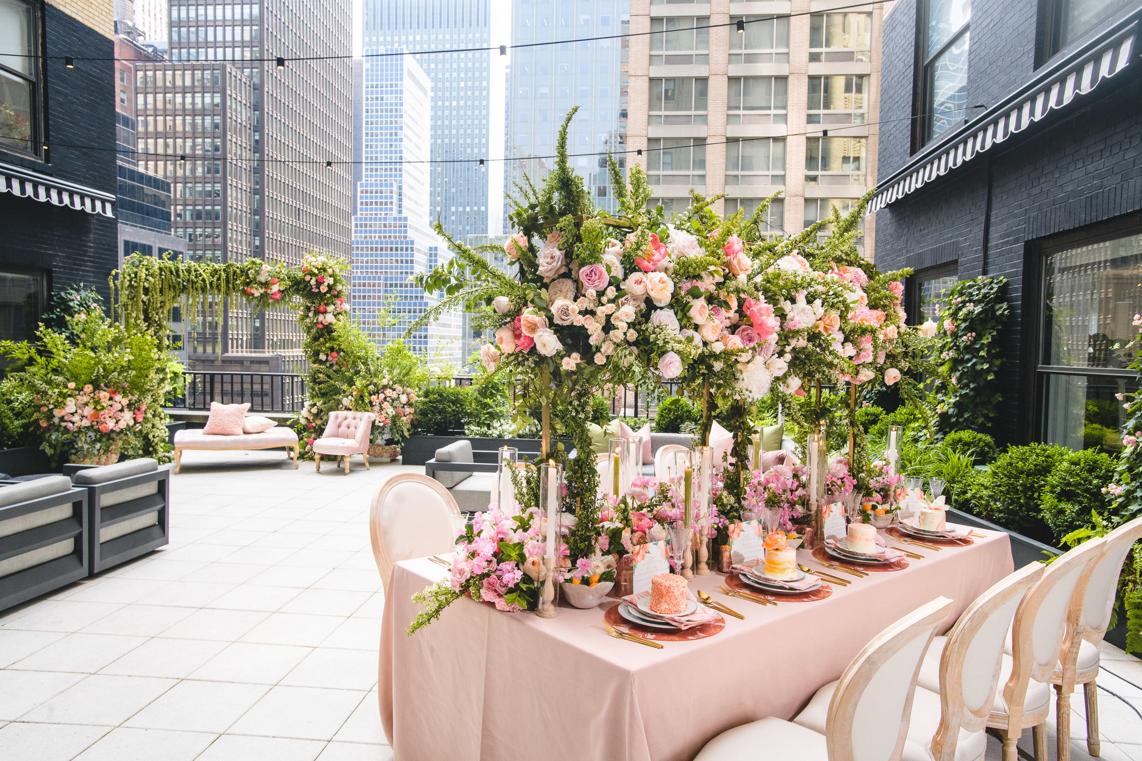 Cover photo of Ivy Terrace