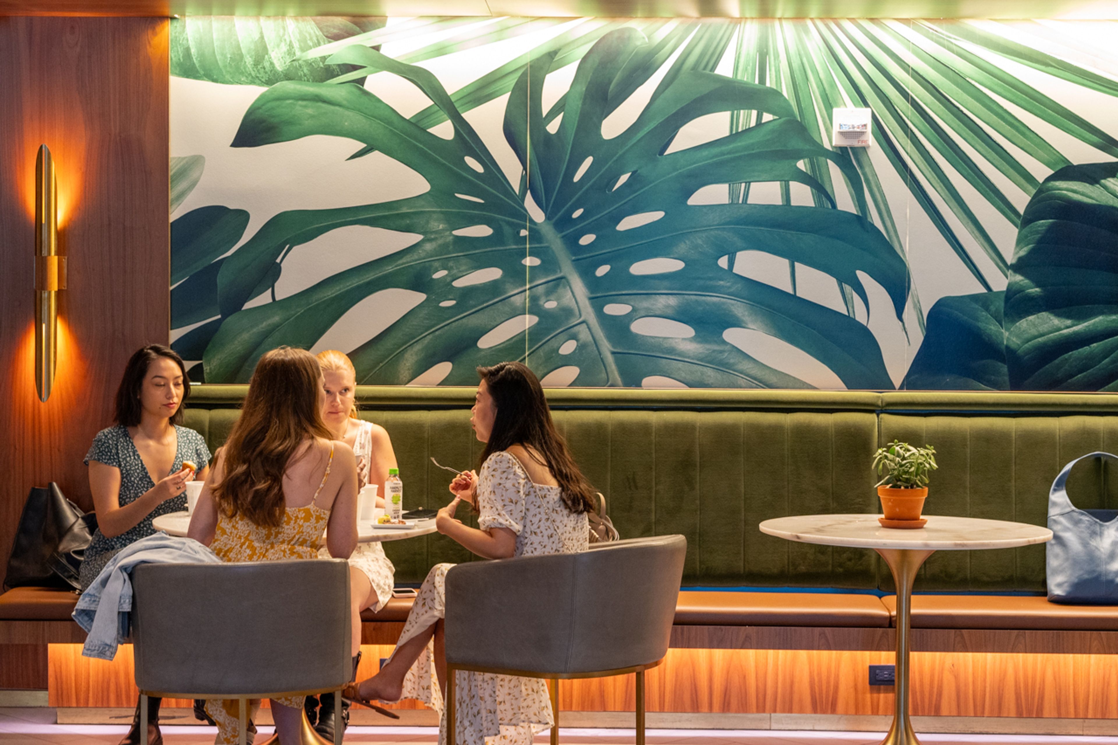 Cover photo of Ivy Terrace