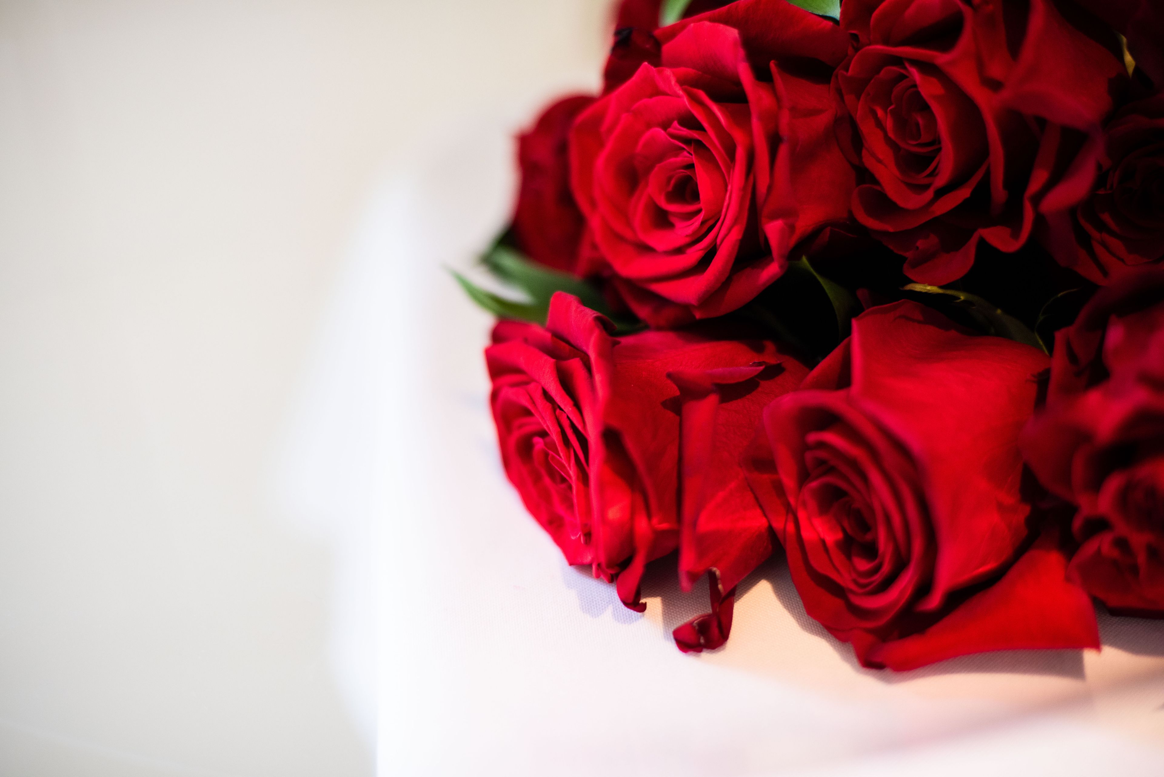 Cover photo of Jasper Grove Creative