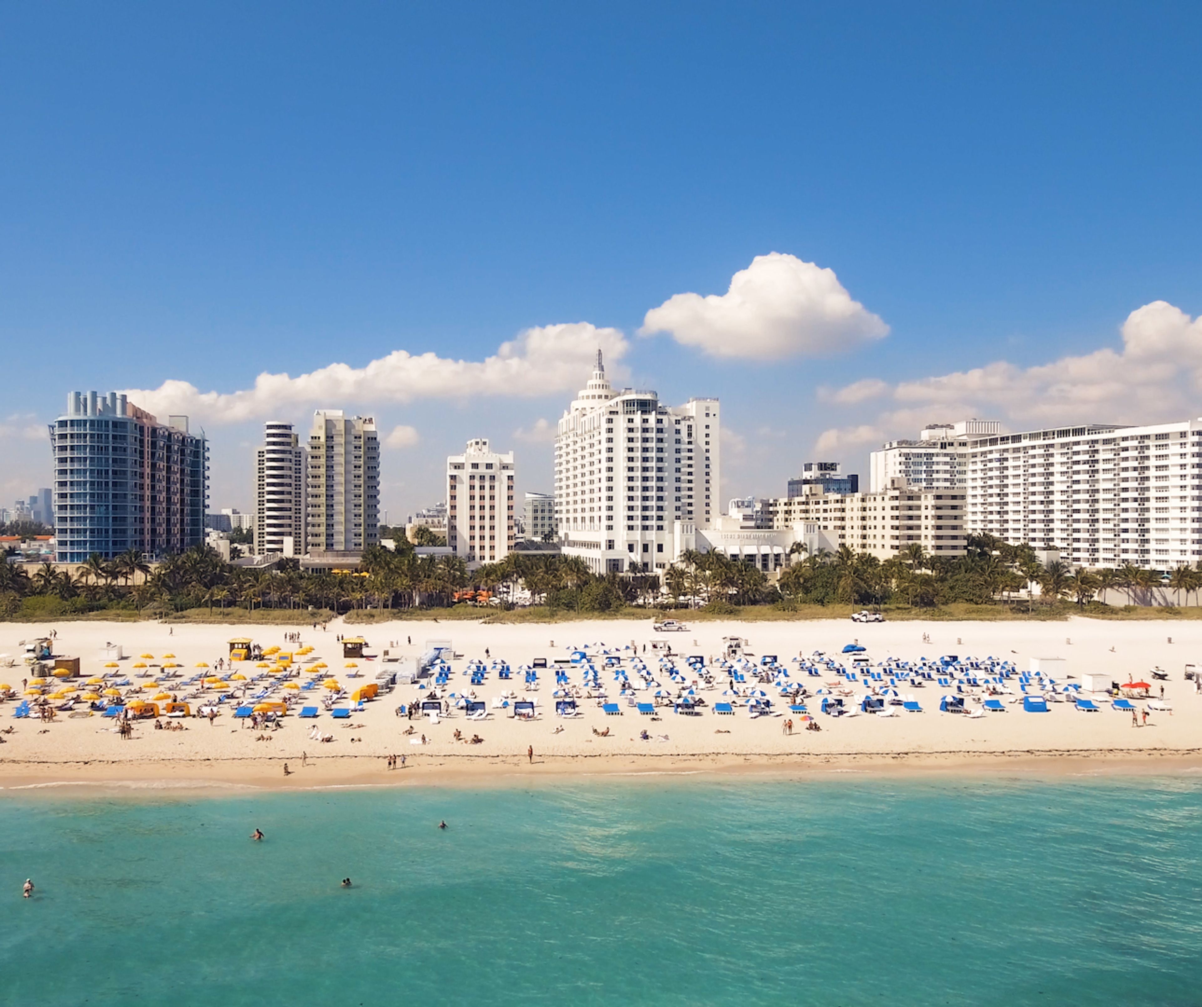 Cover photo of Loews Miami Beach Hotel