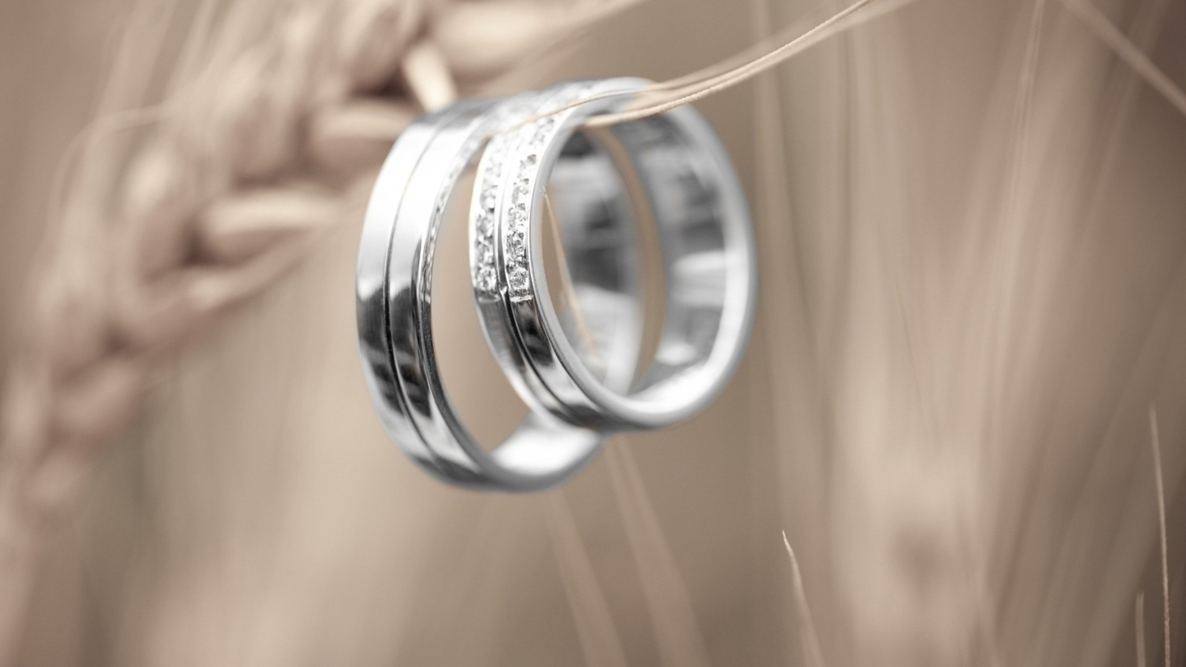 Cover photo of Vision & Love