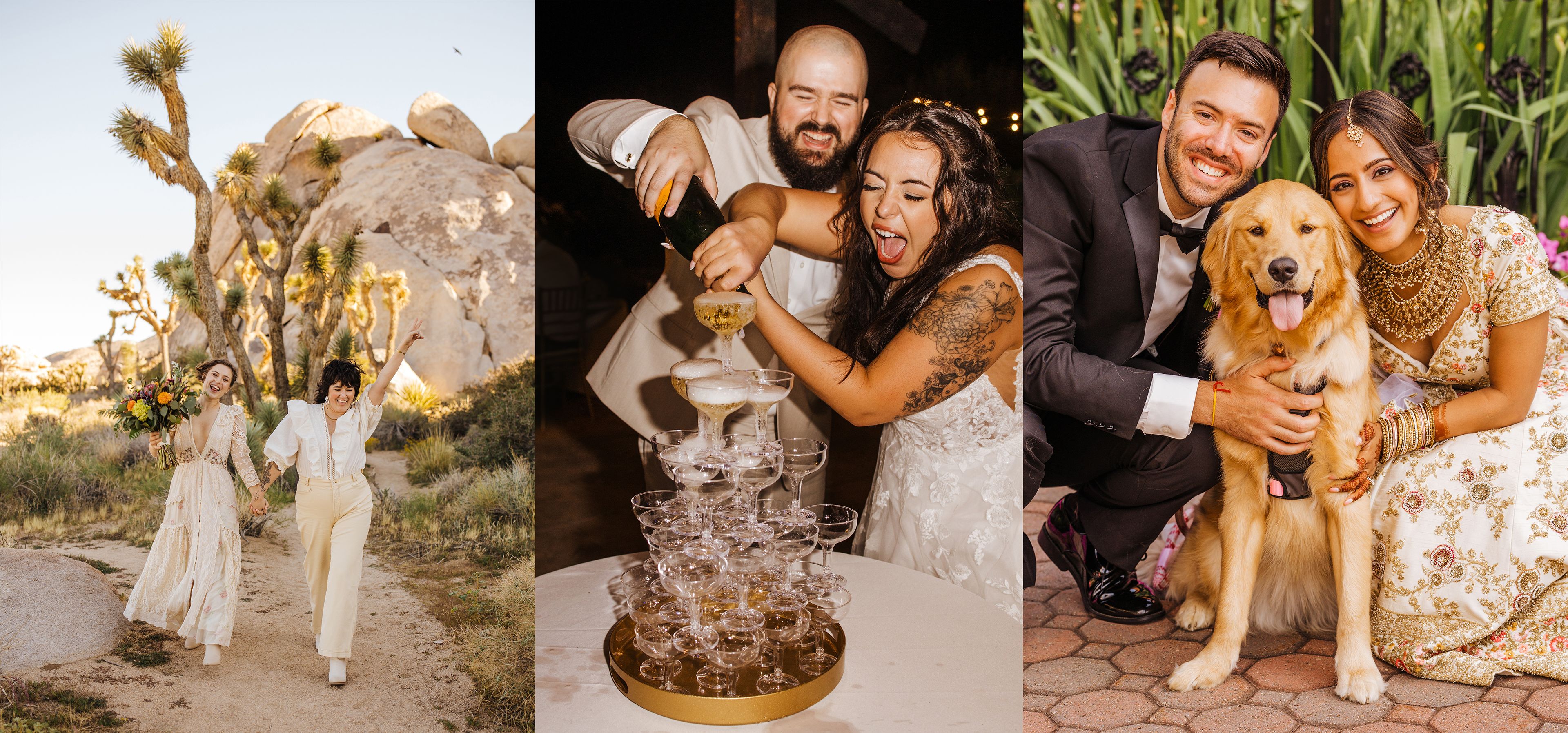 Cover photo of Allie Dearie Photography