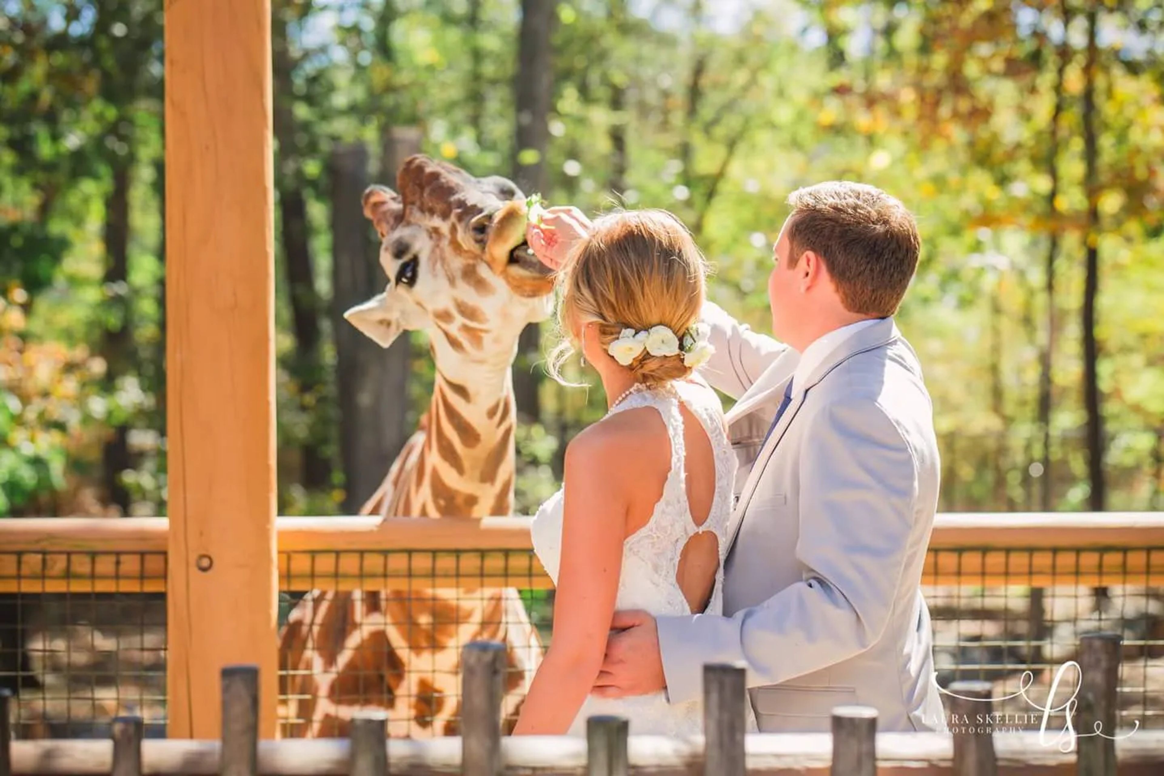 Cover photo of Birmingham Zoo