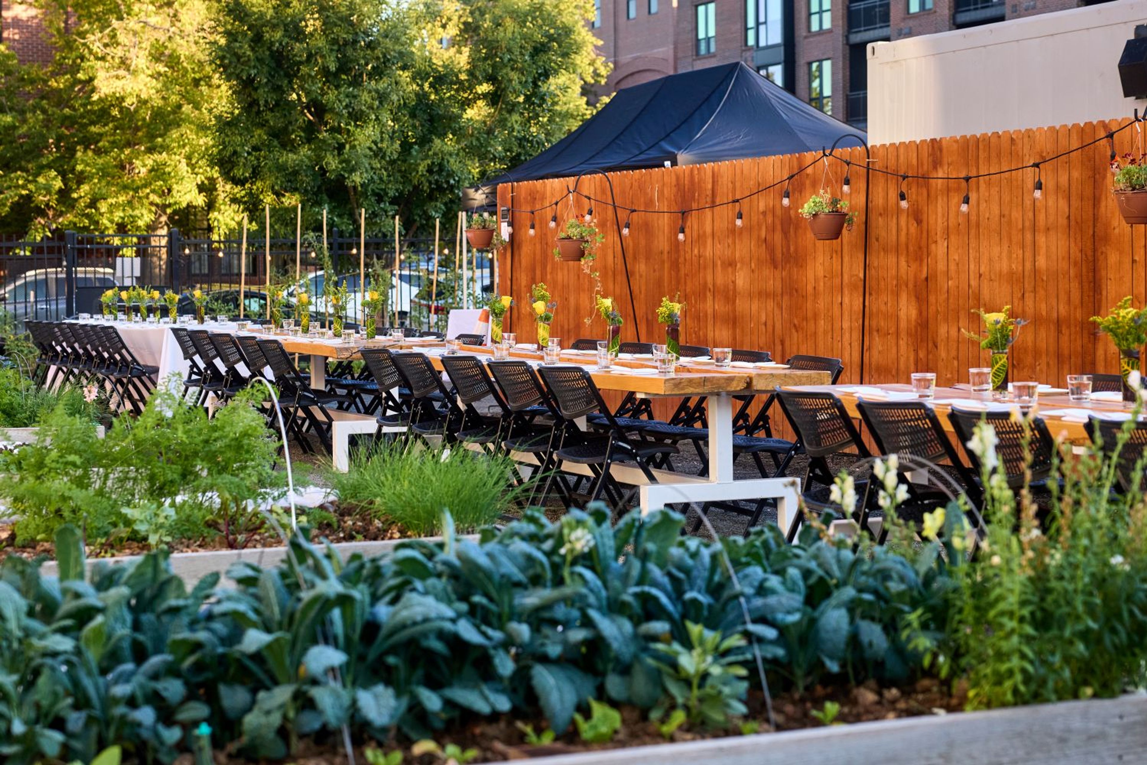 Cover photo of JFS Altius Farms