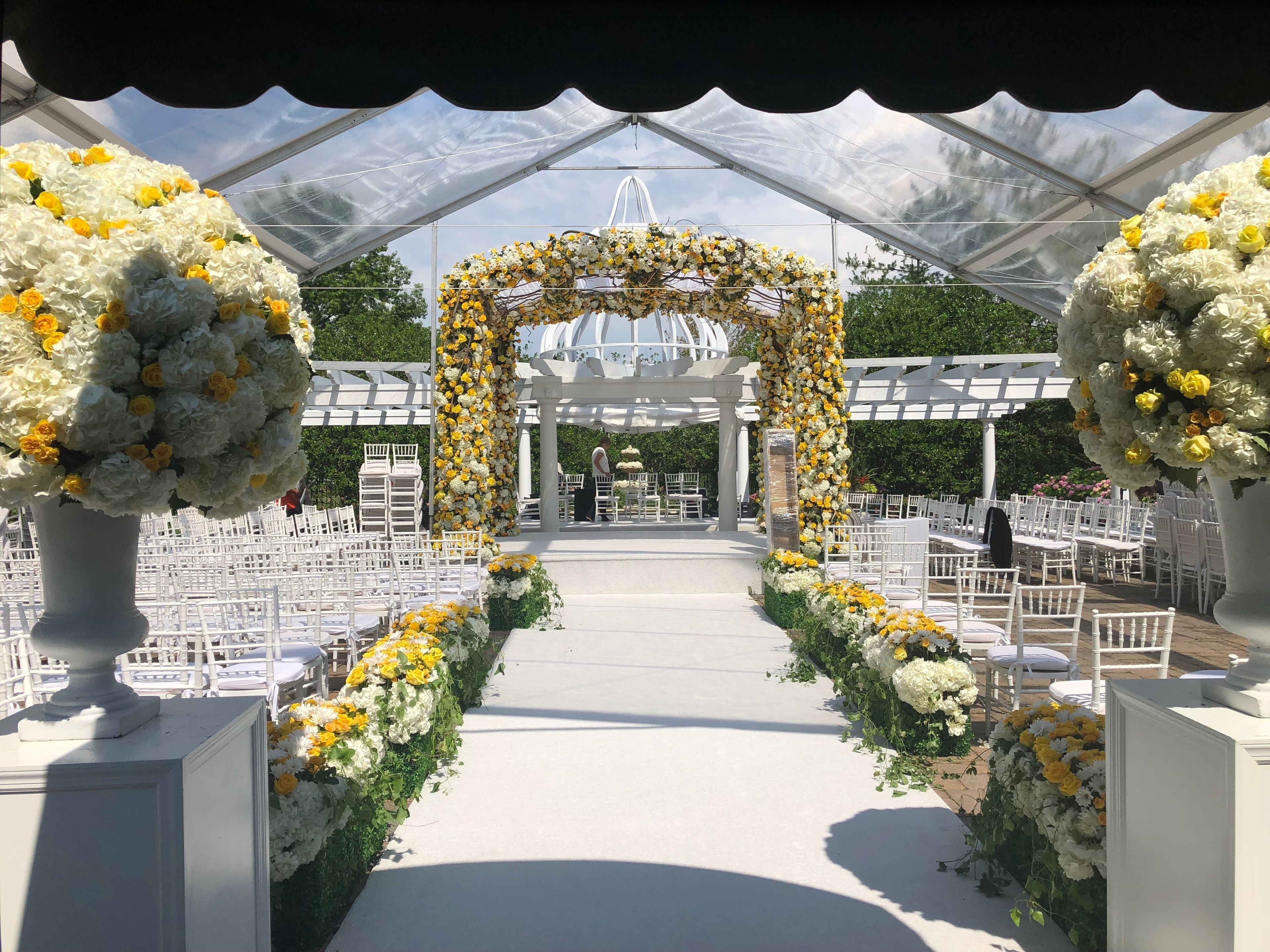 Cover photo of Alamar Party Rentals