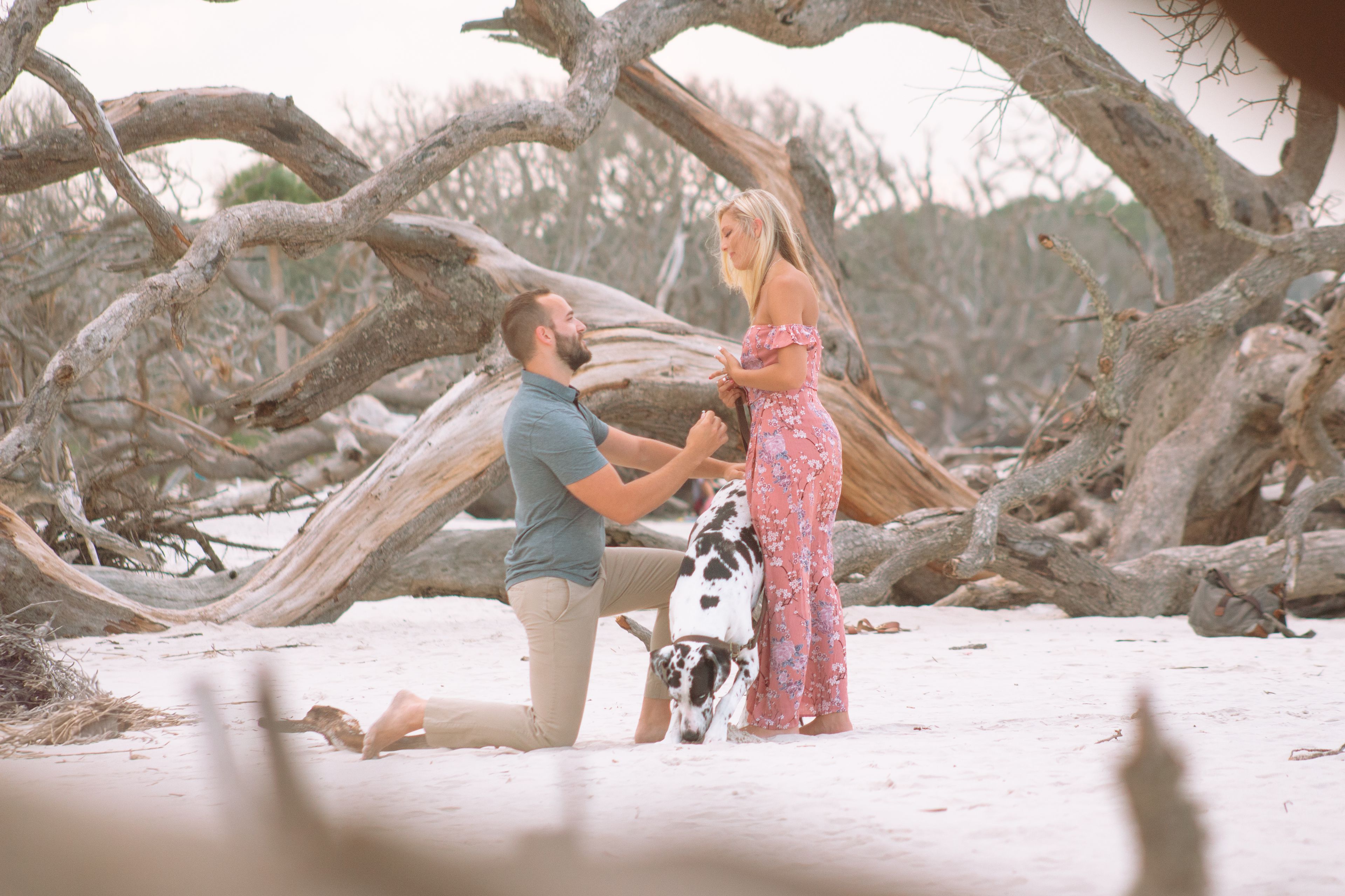 Cover photo of Sav Photo & Film - Savannah Wedding Photographer