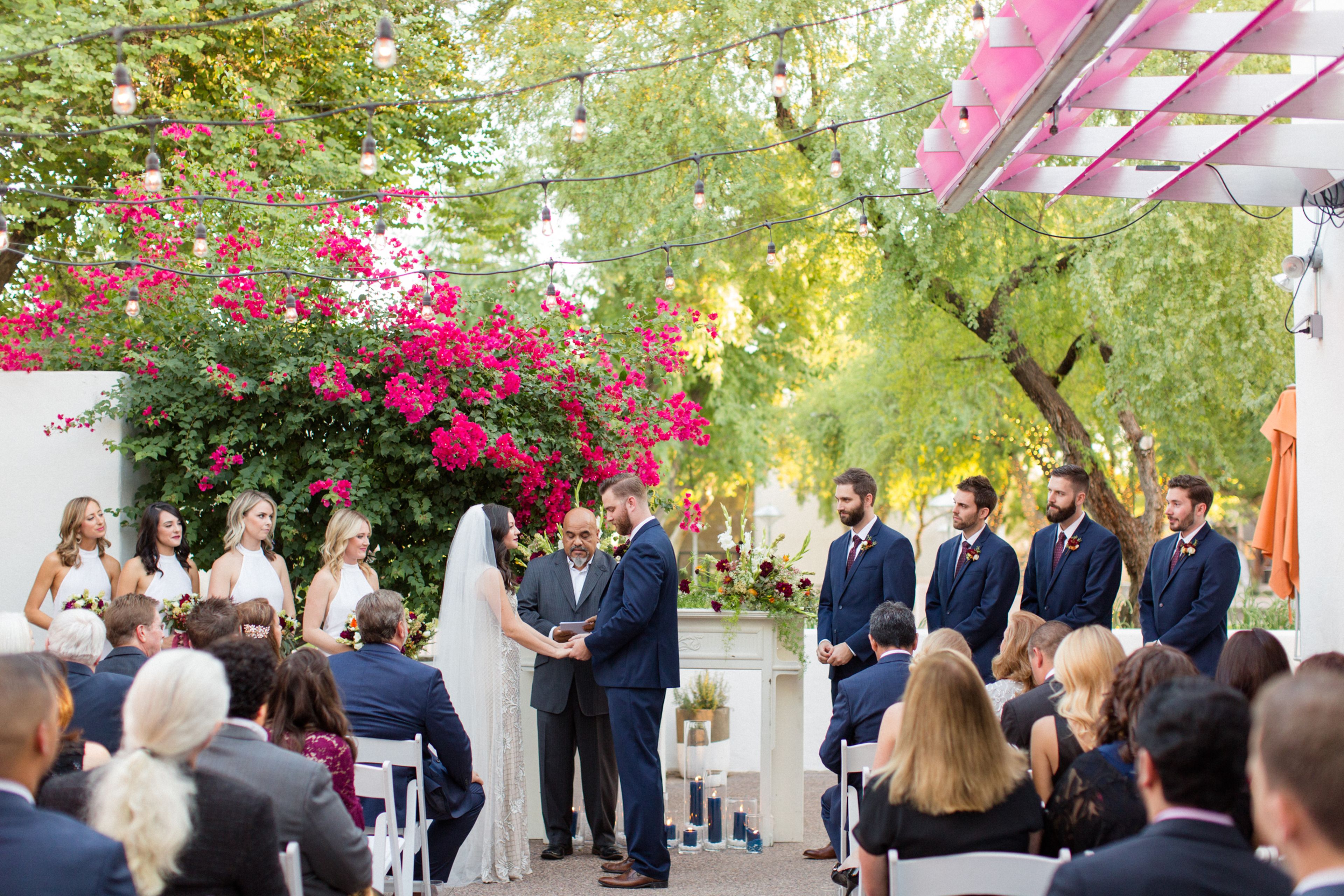 Cover photo of Sonder Monarch