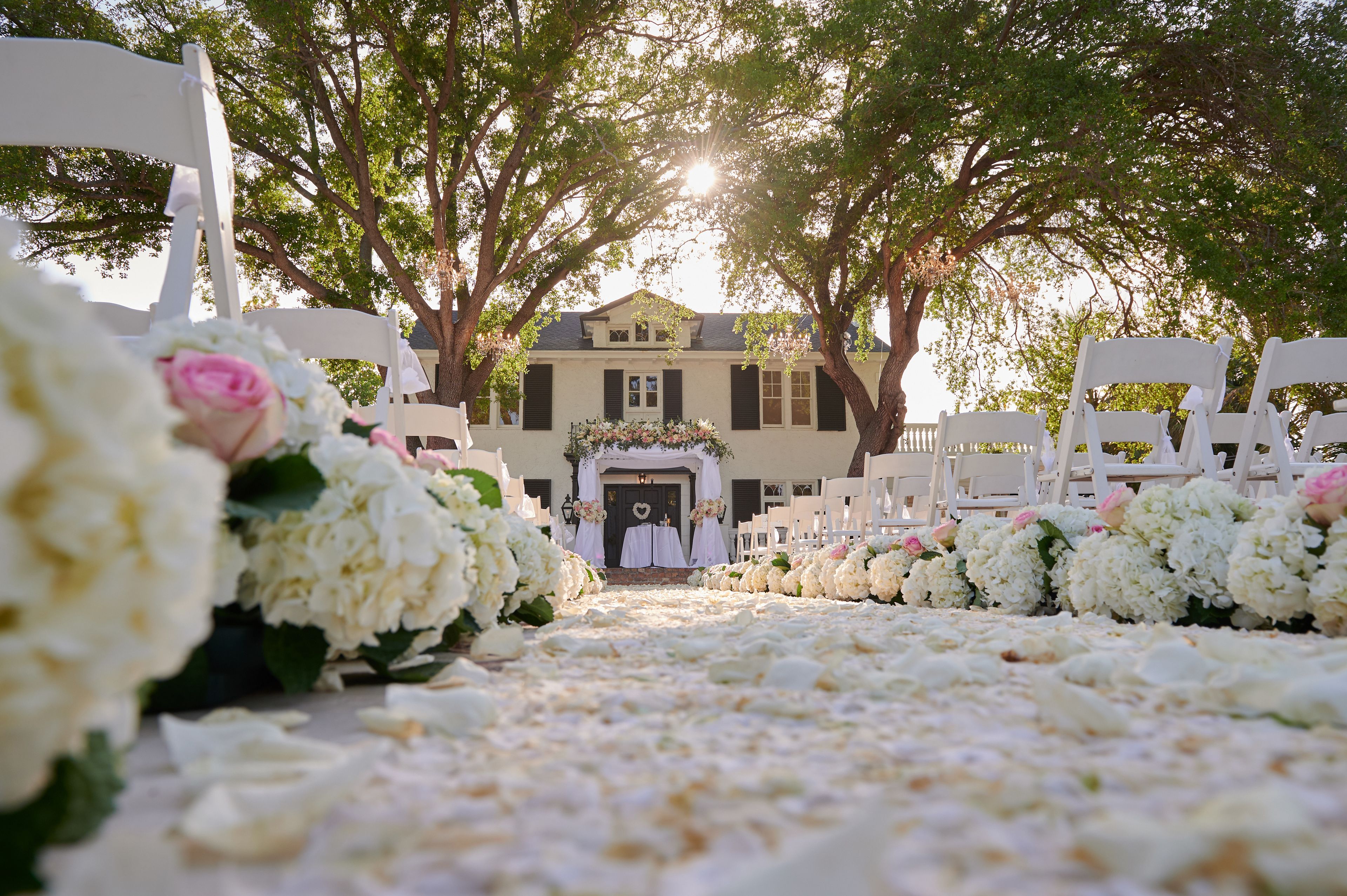 Cover photo of Ms. Wedding Planner