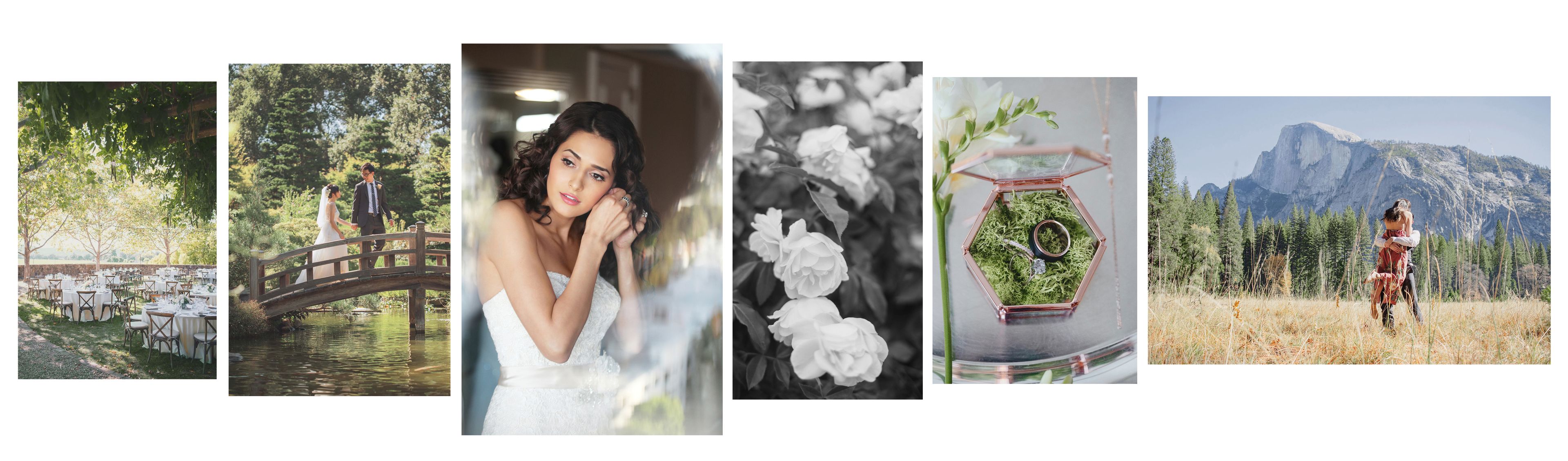 Cover photo of Love Knot Photography