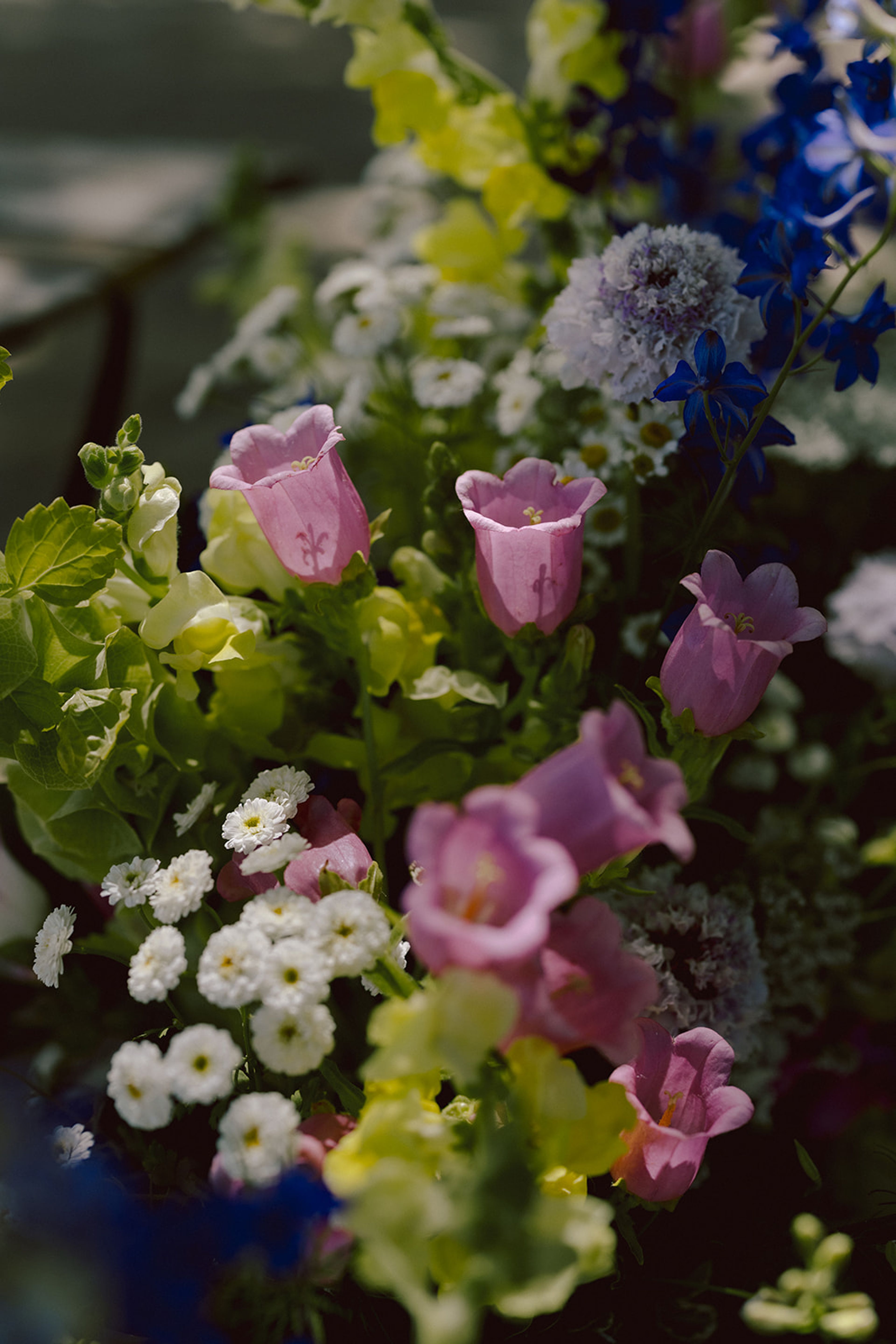 Cover photo of Moonlight Blooms Farm