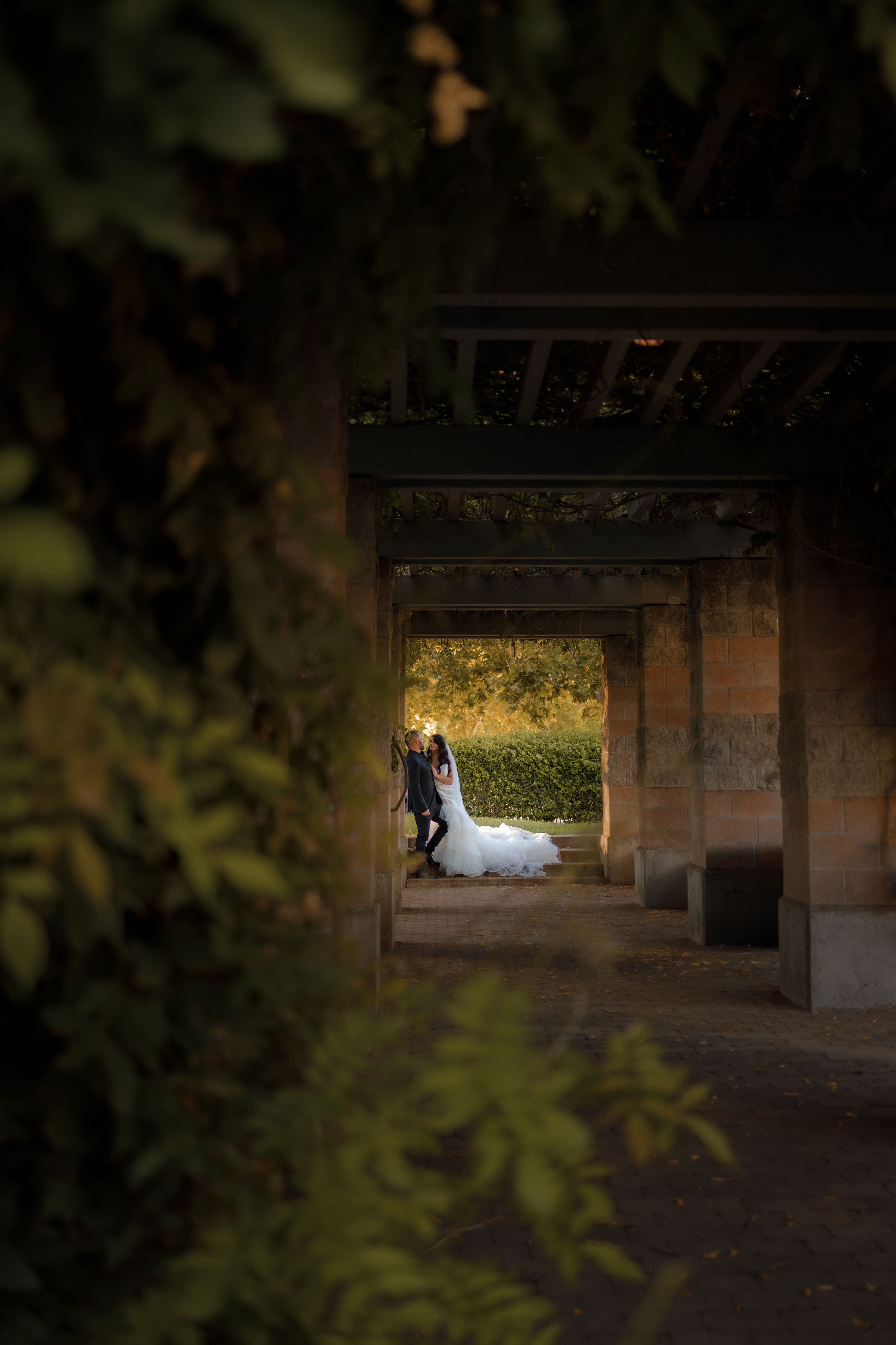 Cover photo of Capture By Sue