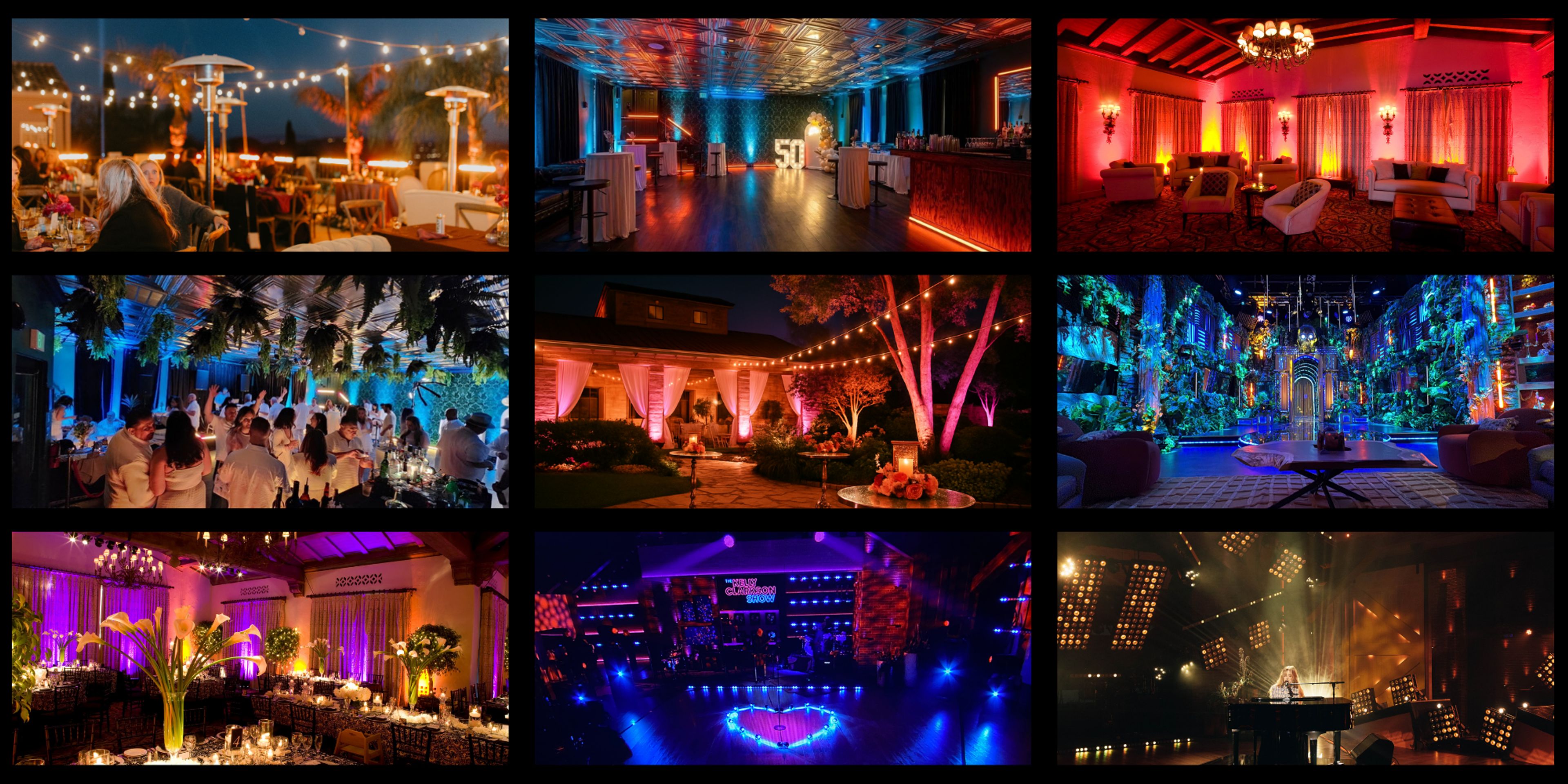 Cover photo of The Vivid Solution