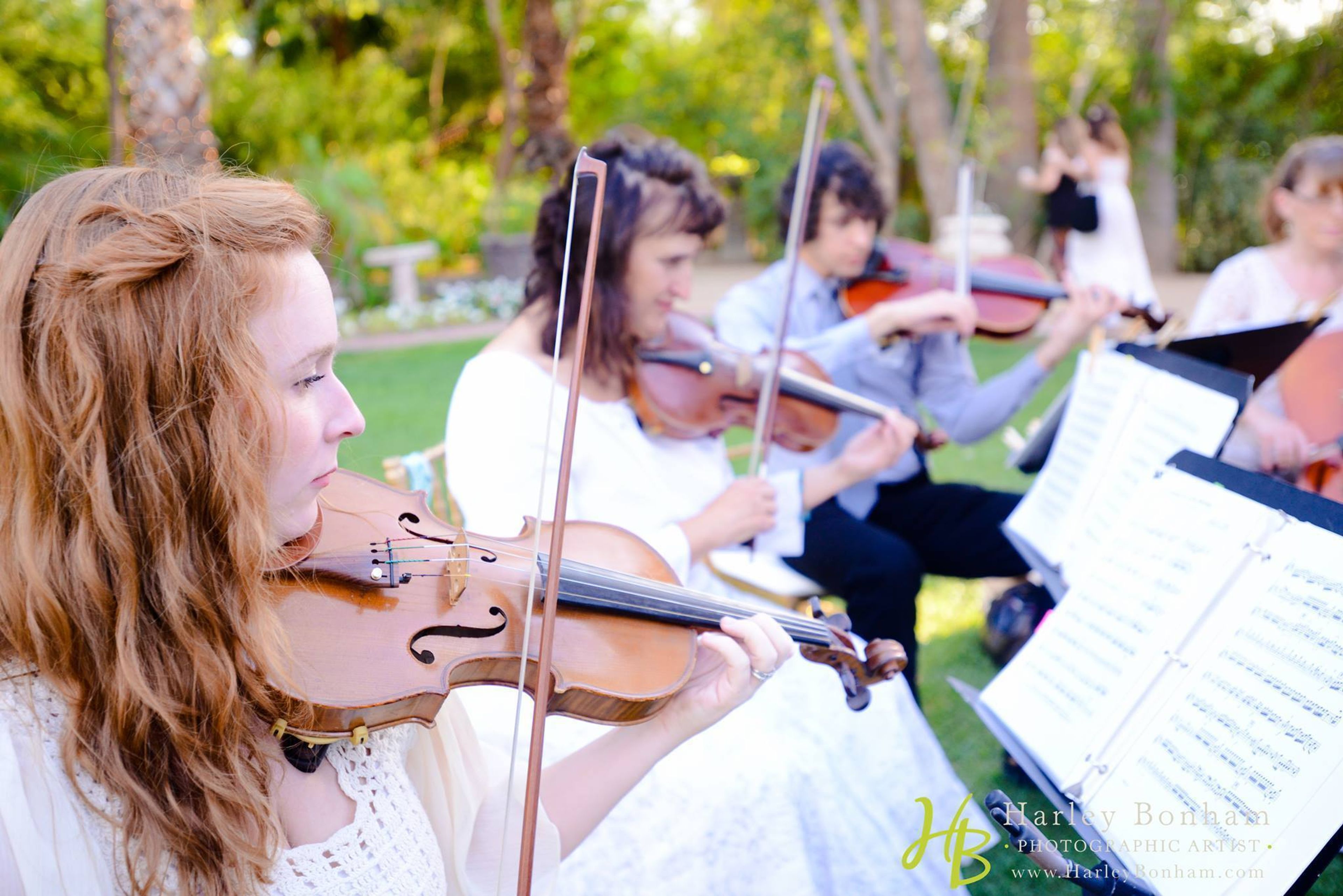 Cover photo of Sweetwater Strings