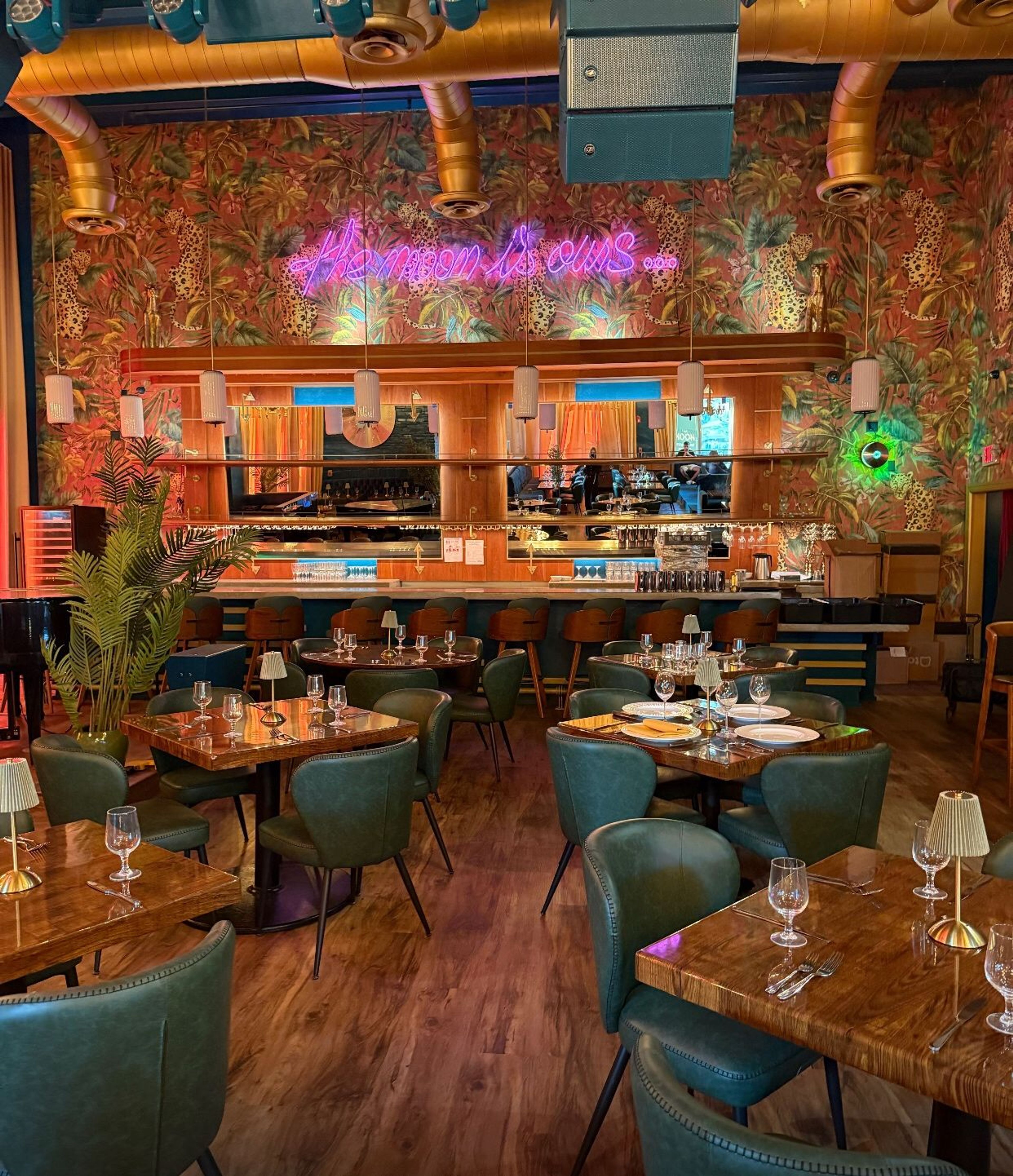 Cover photo of The Moon Miami