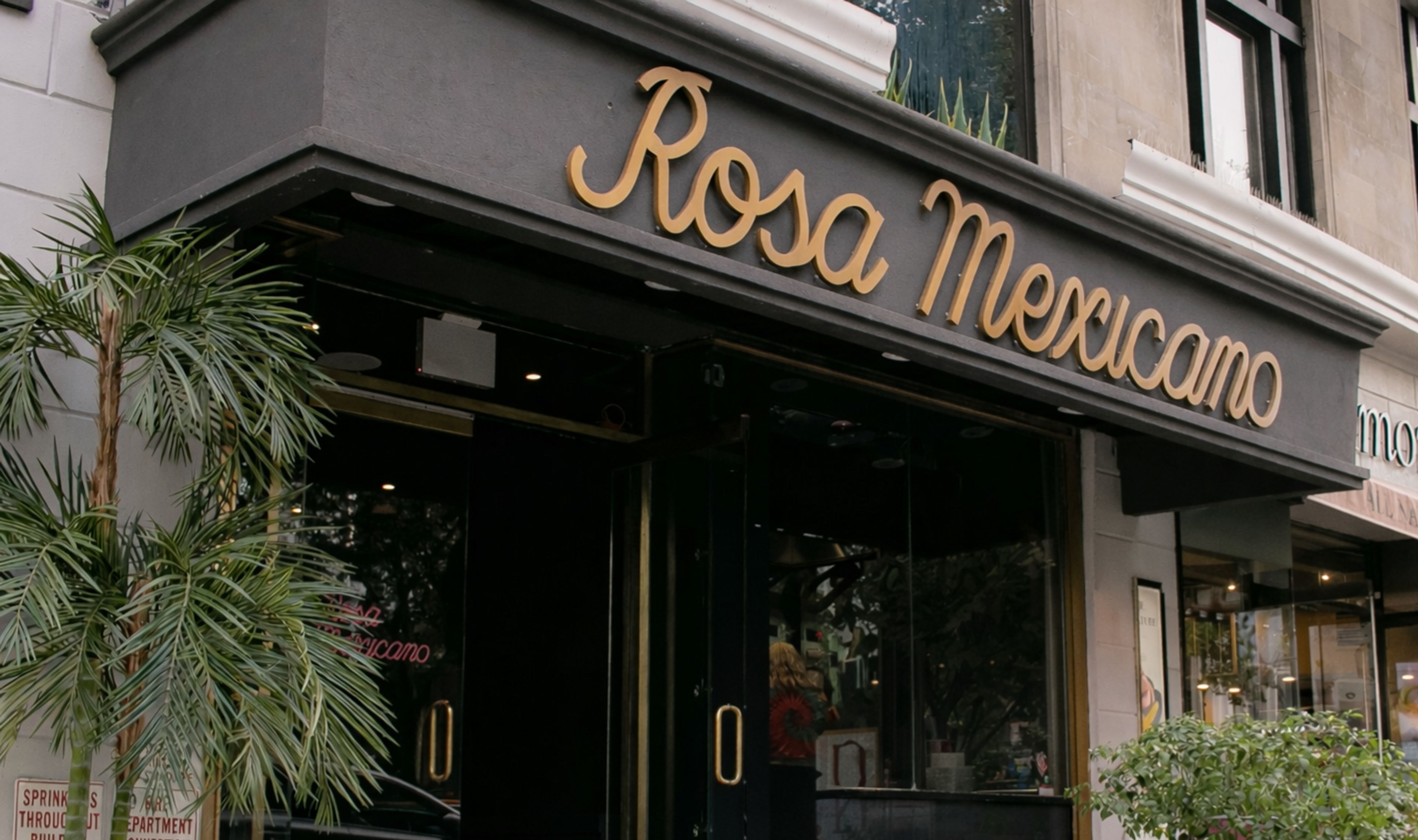Featured photo from Rosa Mexicano at Lincoln Center
