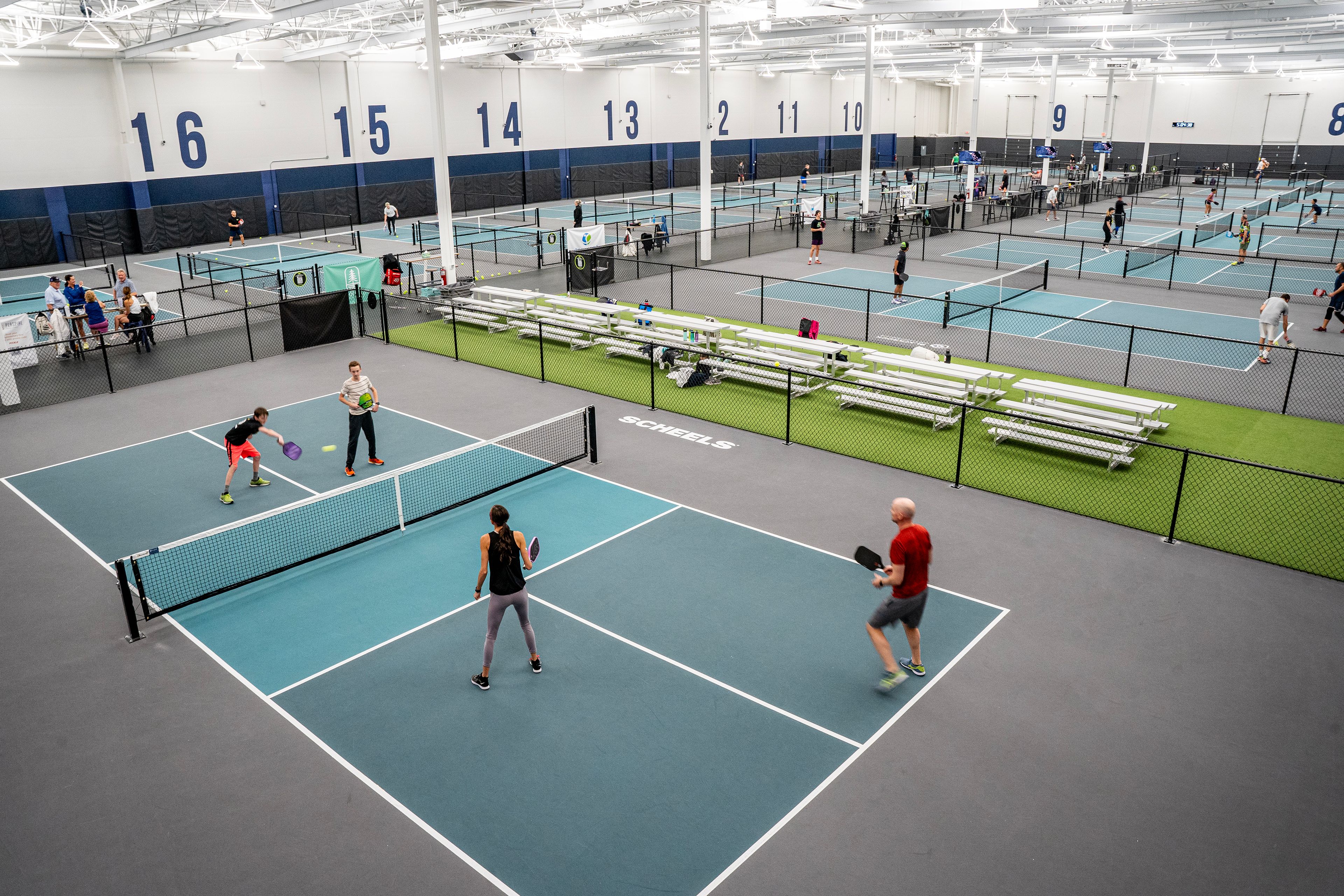 Cover photo of The Flying Pickle