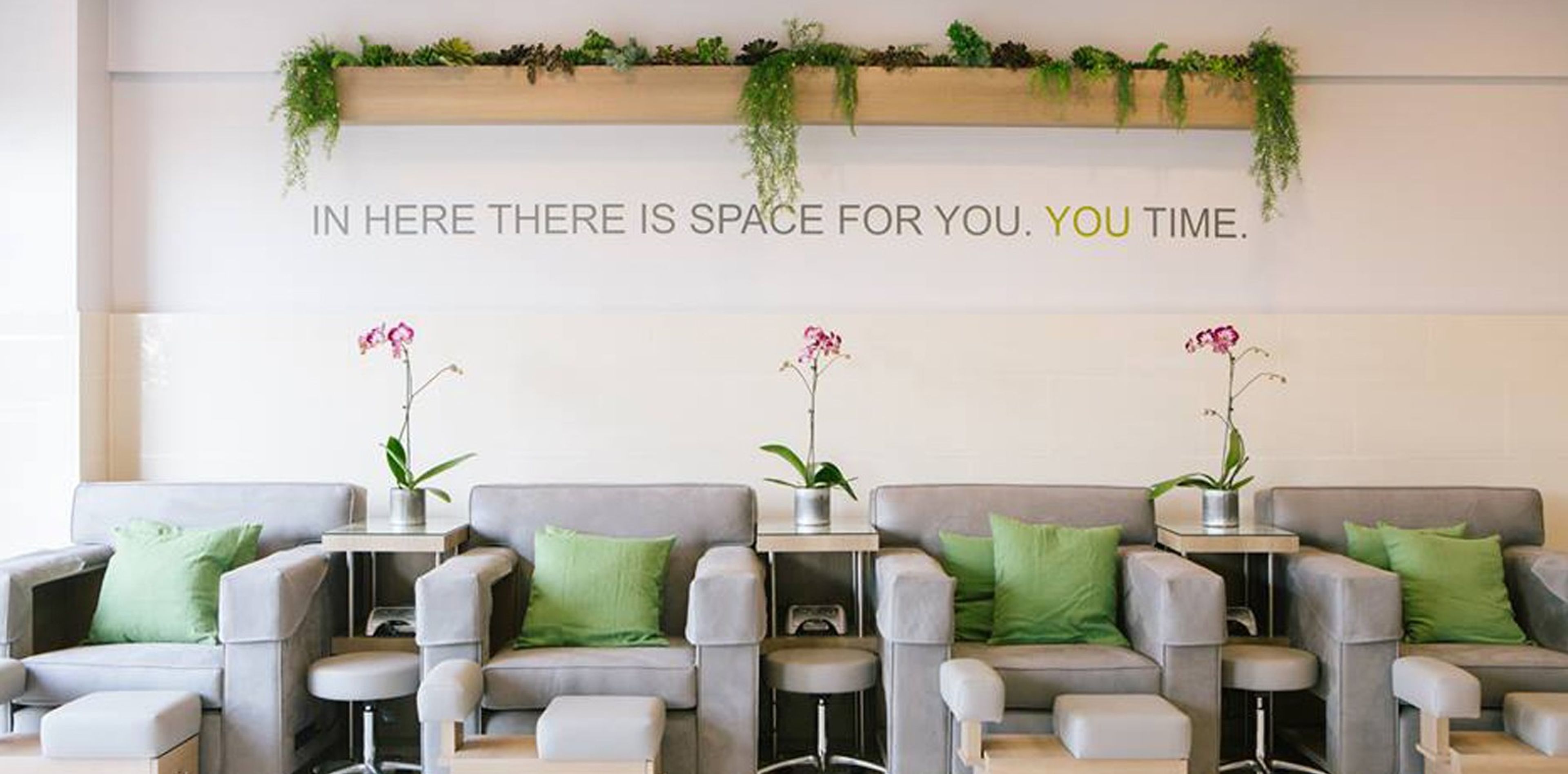 Cover photo of Bella Cures