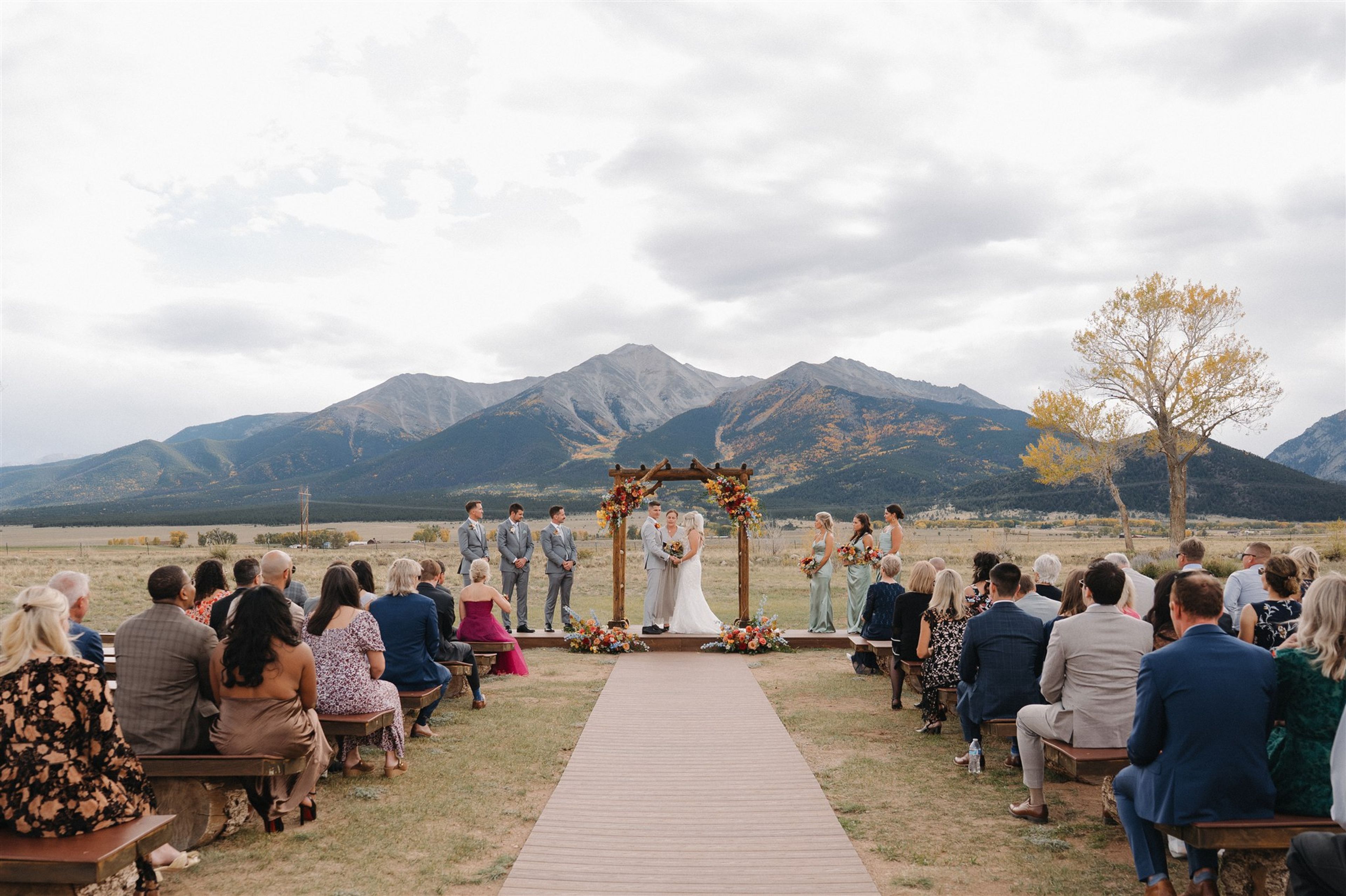 Cover photo of Sunshine Sentiments