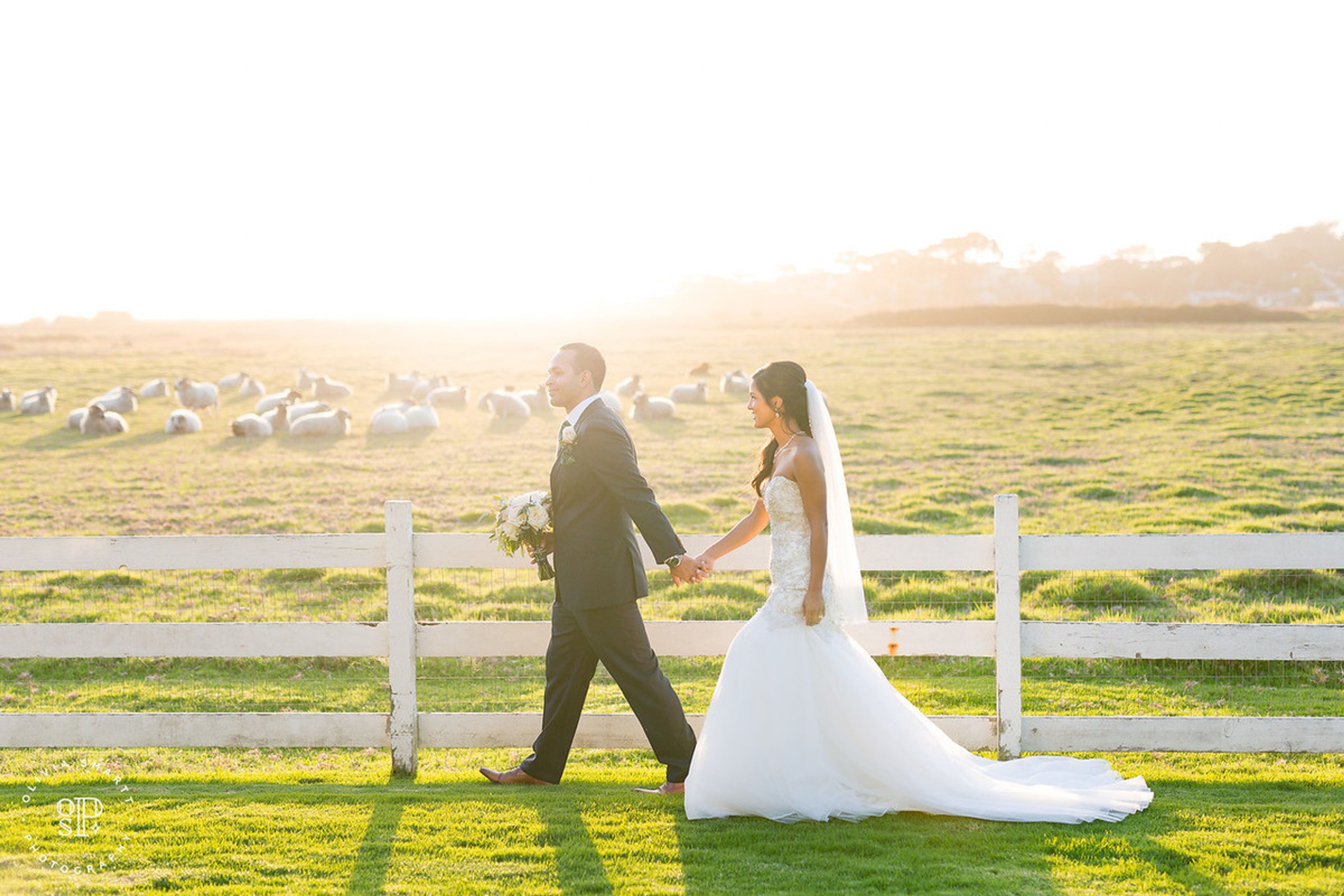 Cover photo of Mission Ranch Hotel & Restaurant