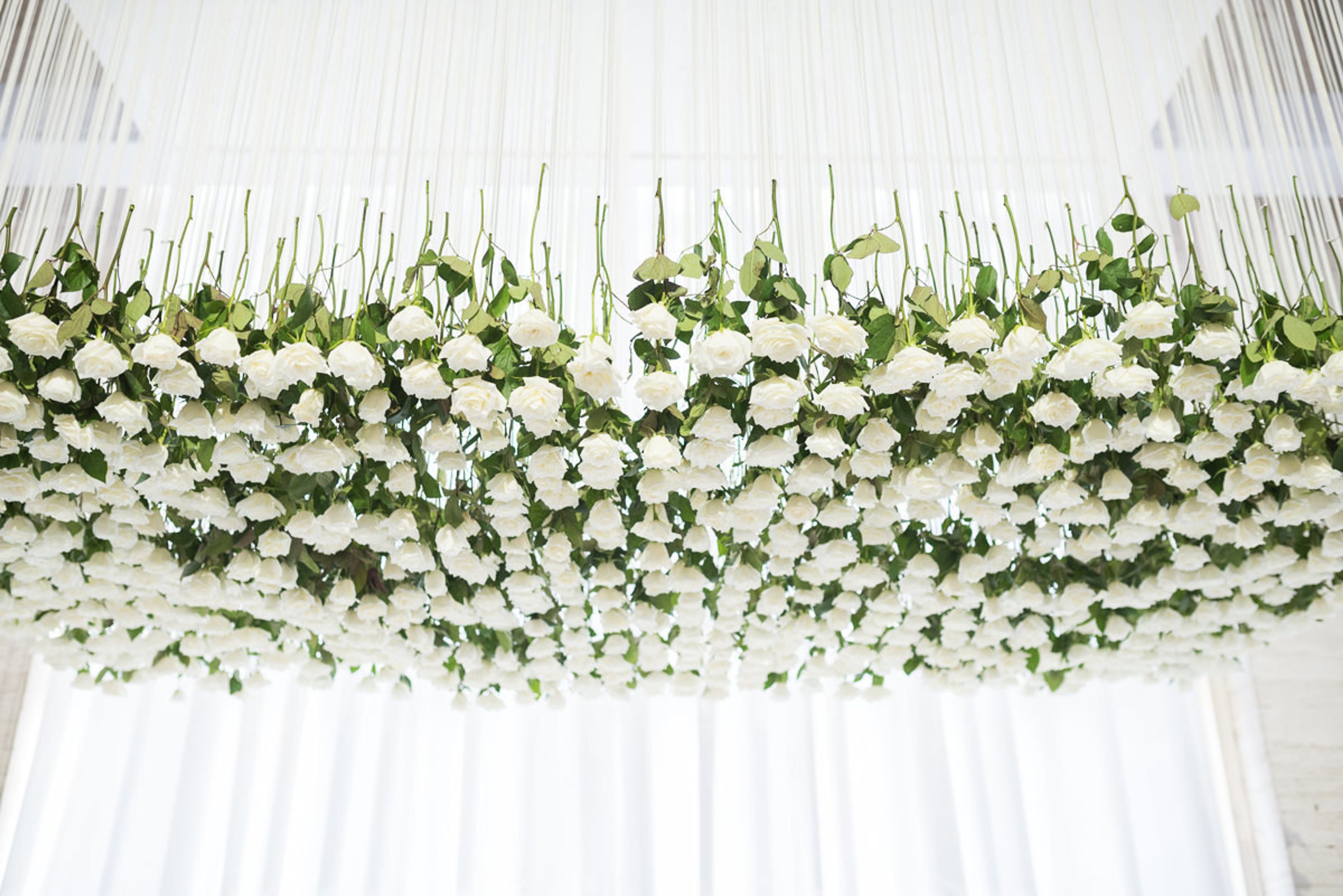 Cover photo of Karla Events