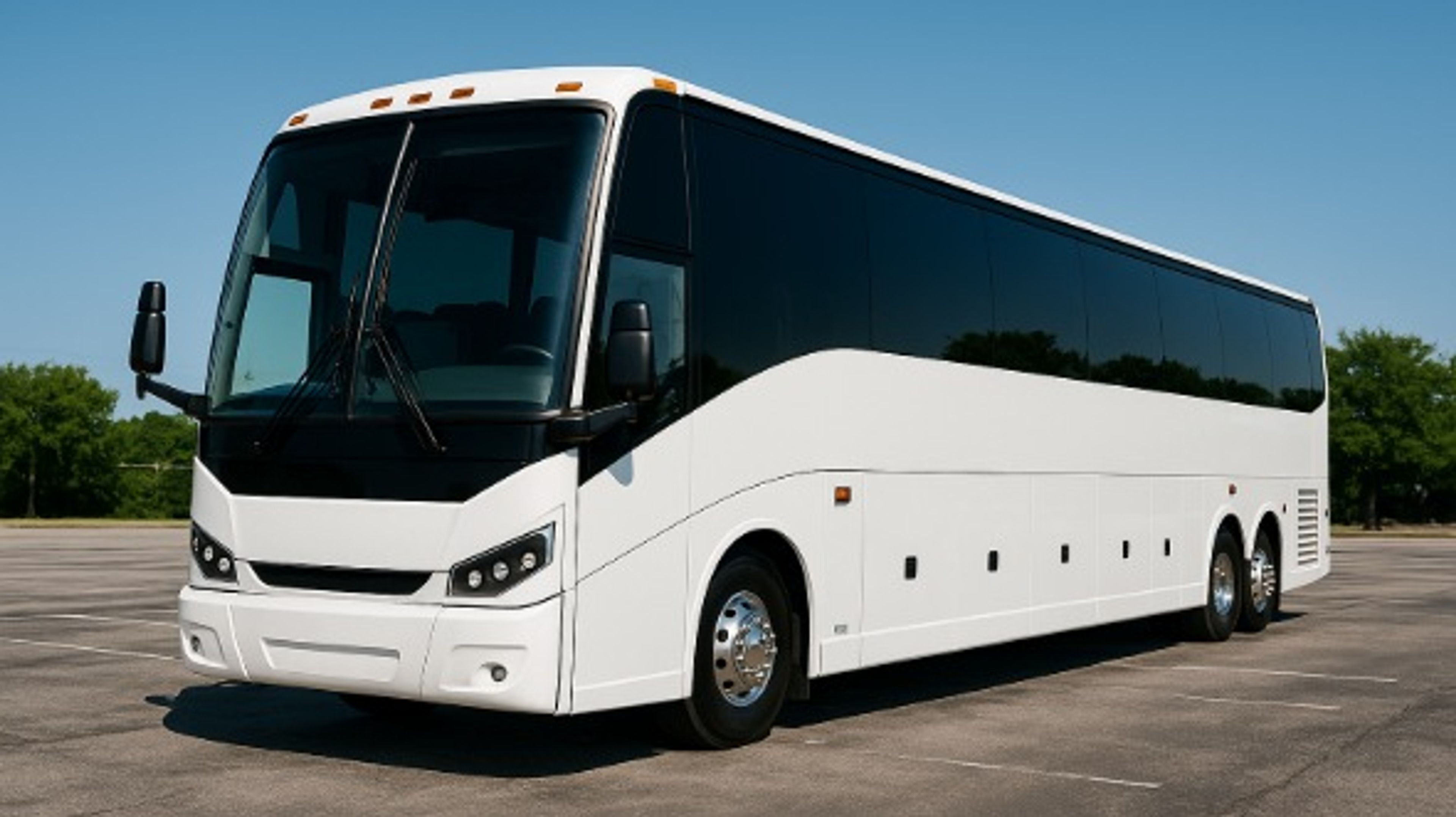 Cover photo of Cape Coral Party Bus Company