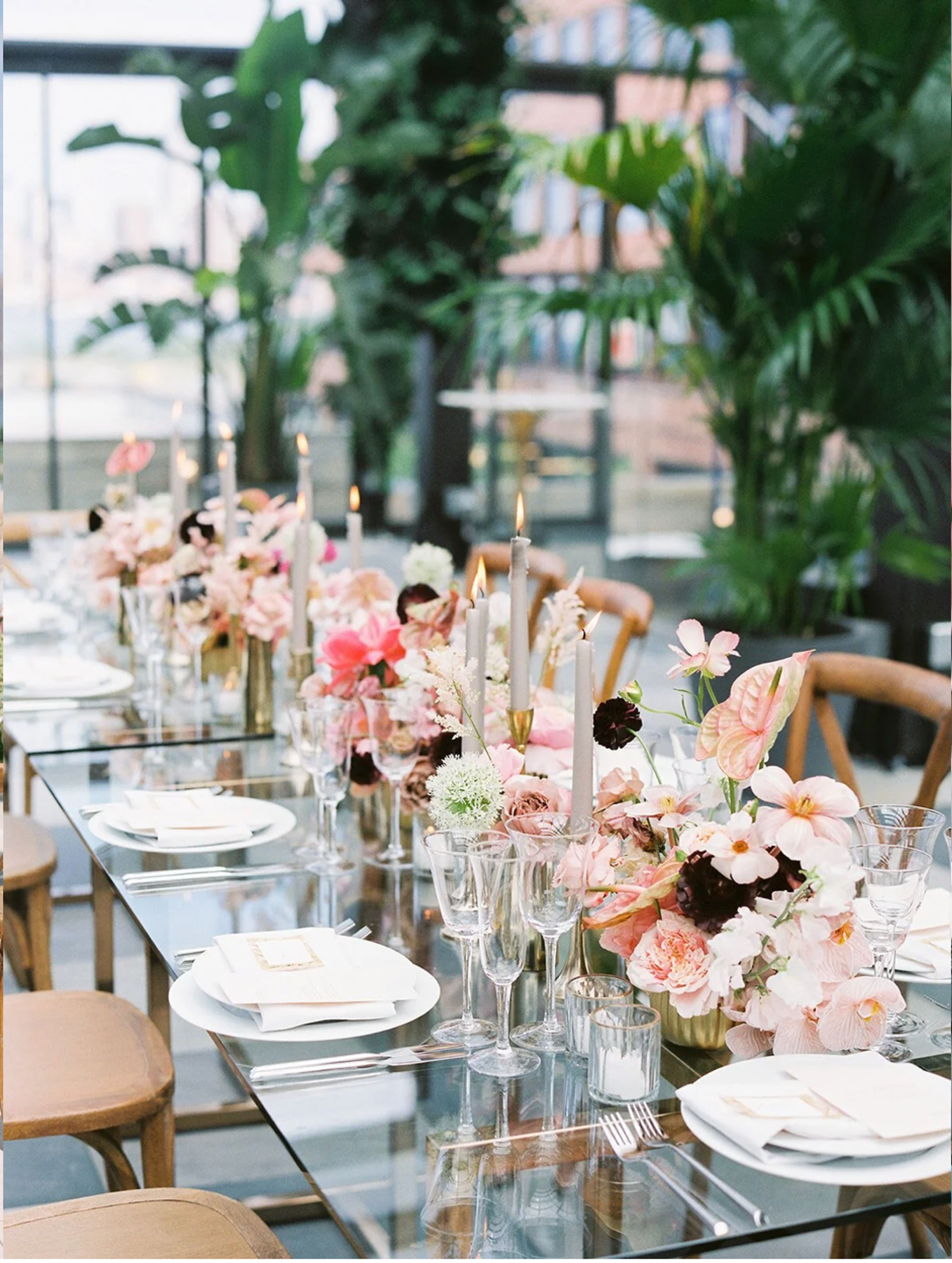 Cover photo of August Sage and Violet