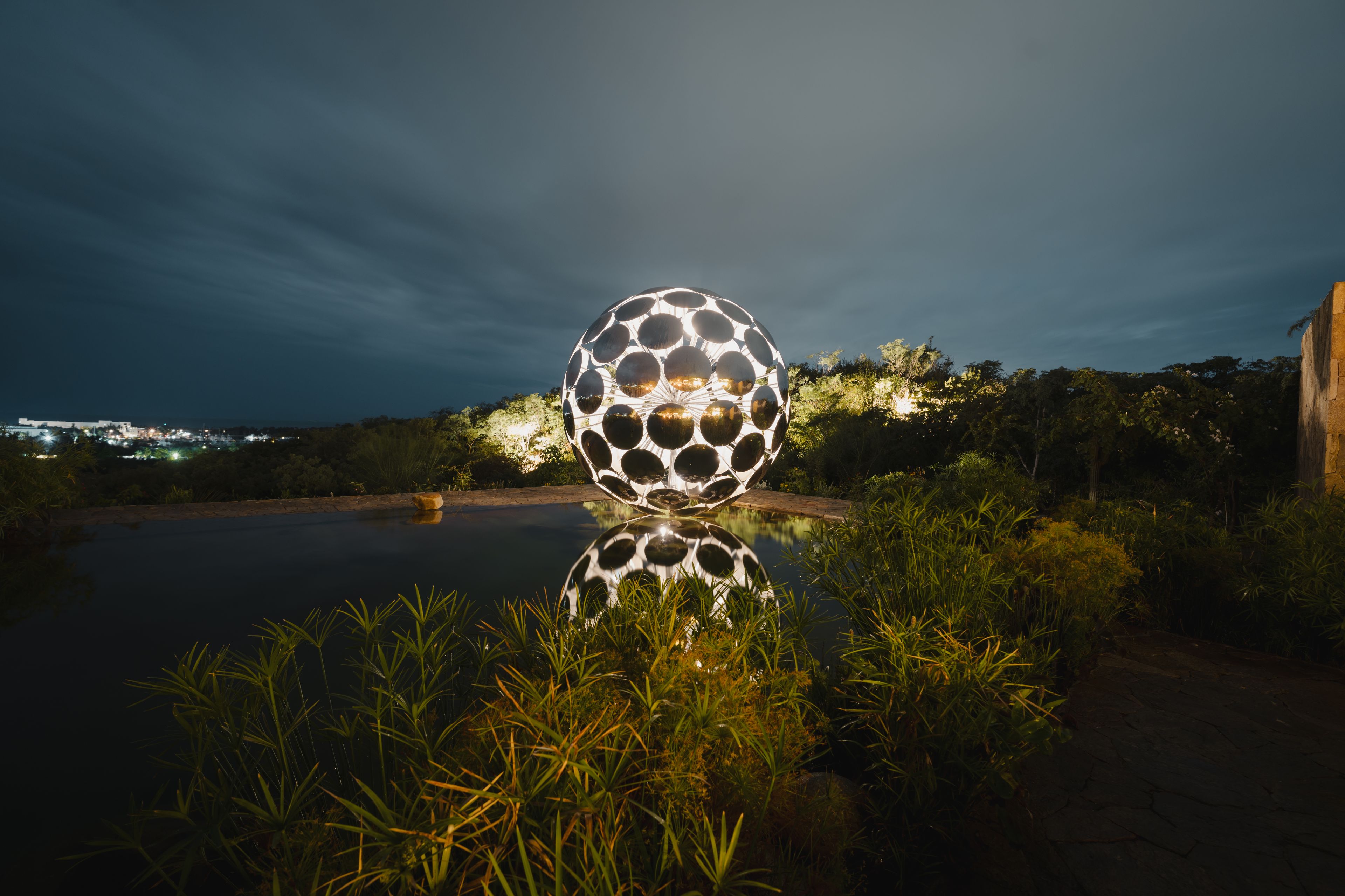 Cover photo of Ballena