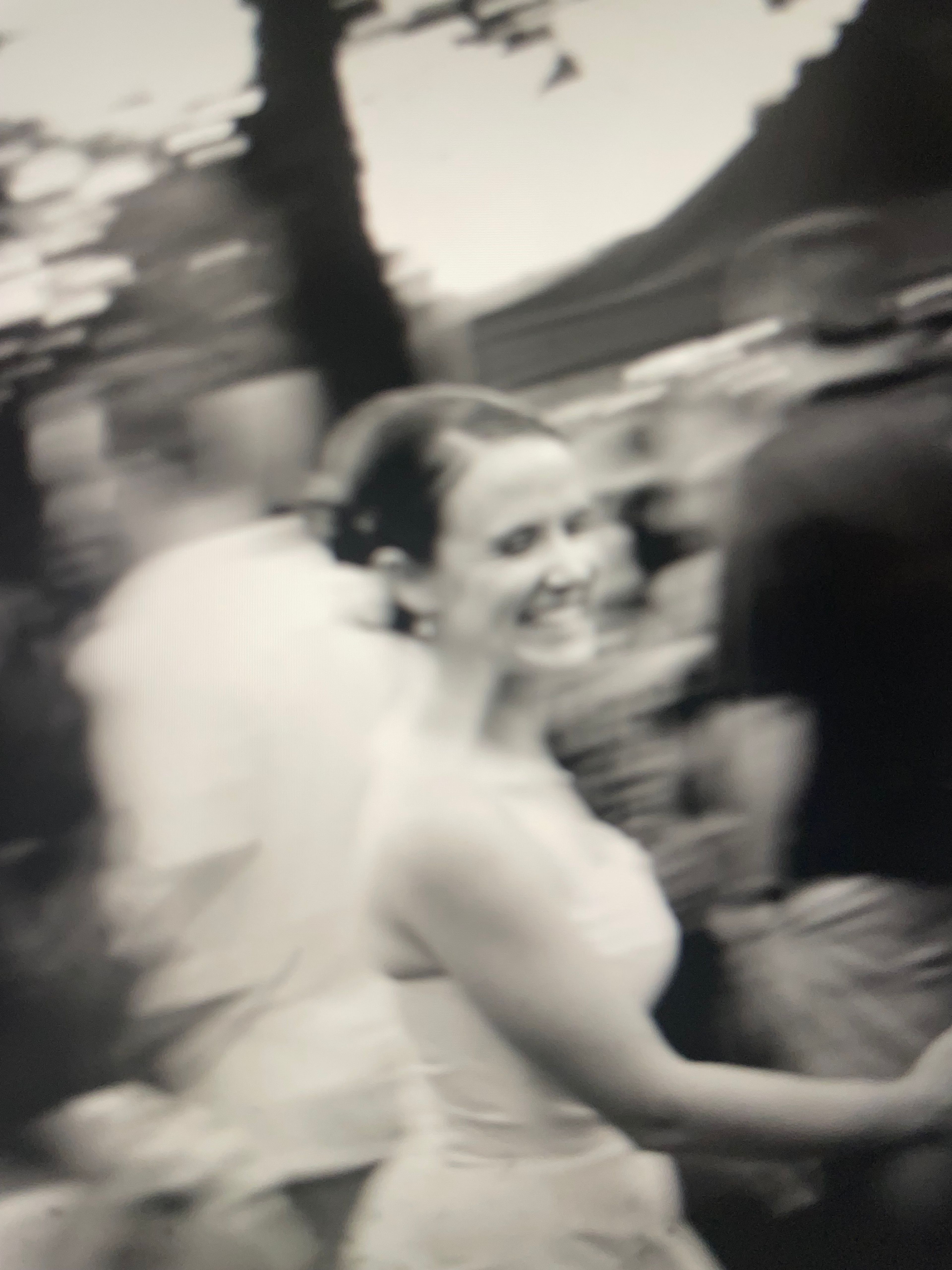 Cover photo of Fox & Wilds