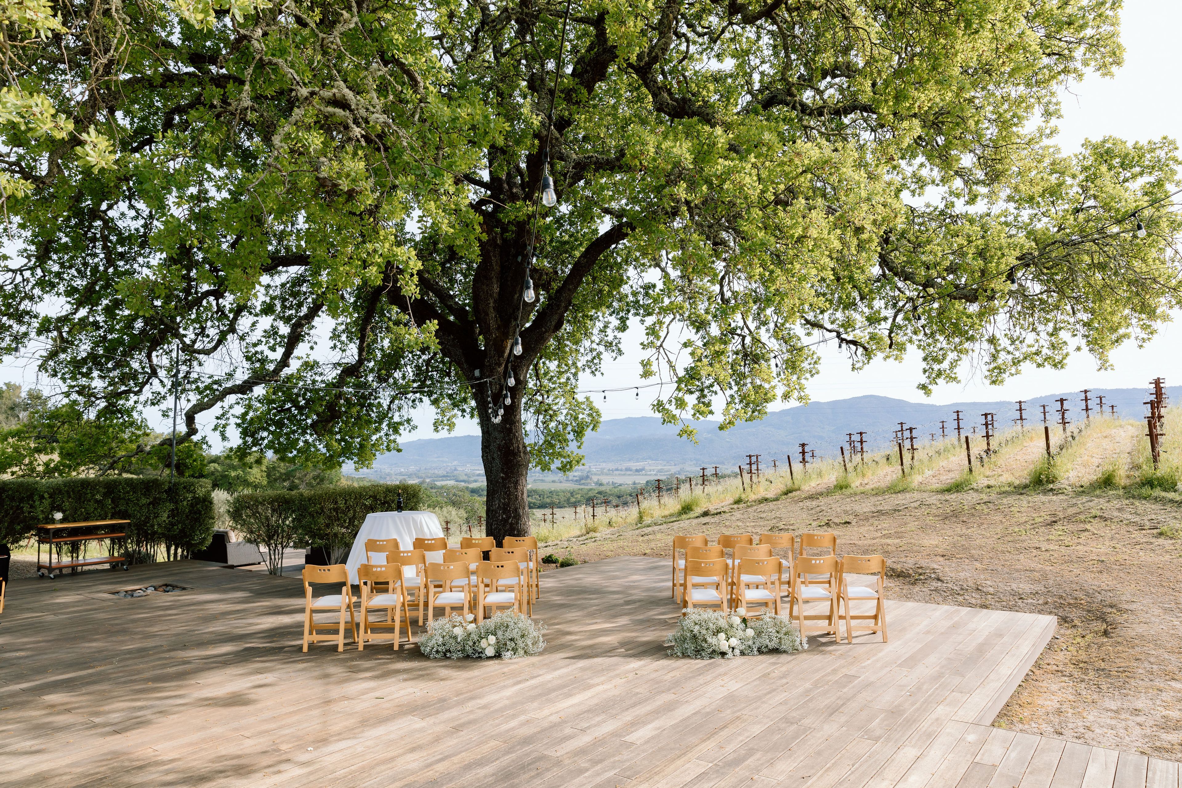 Cover photo of Merryvale Vineyards