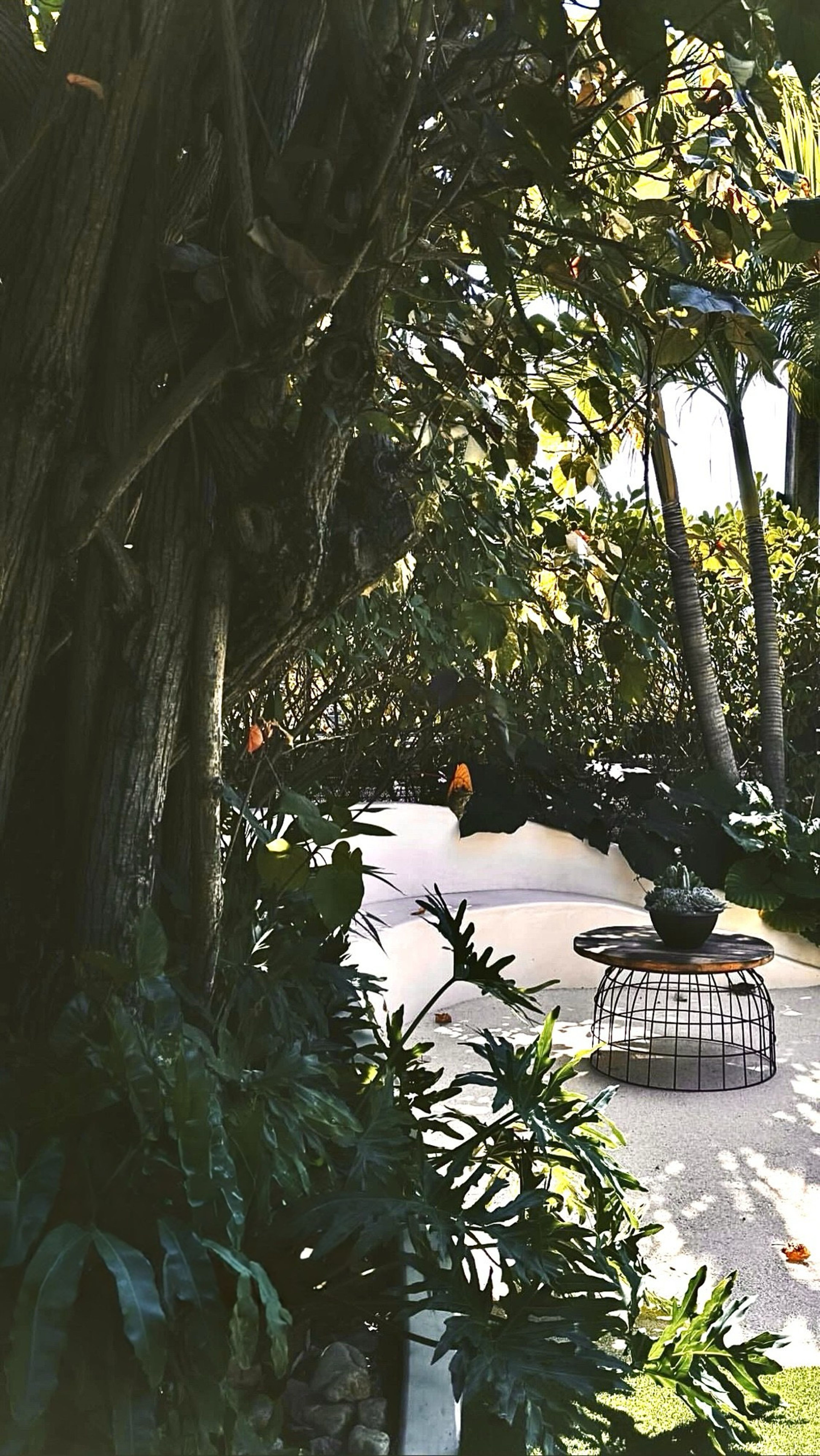 Cover photo of Casa Di Arte