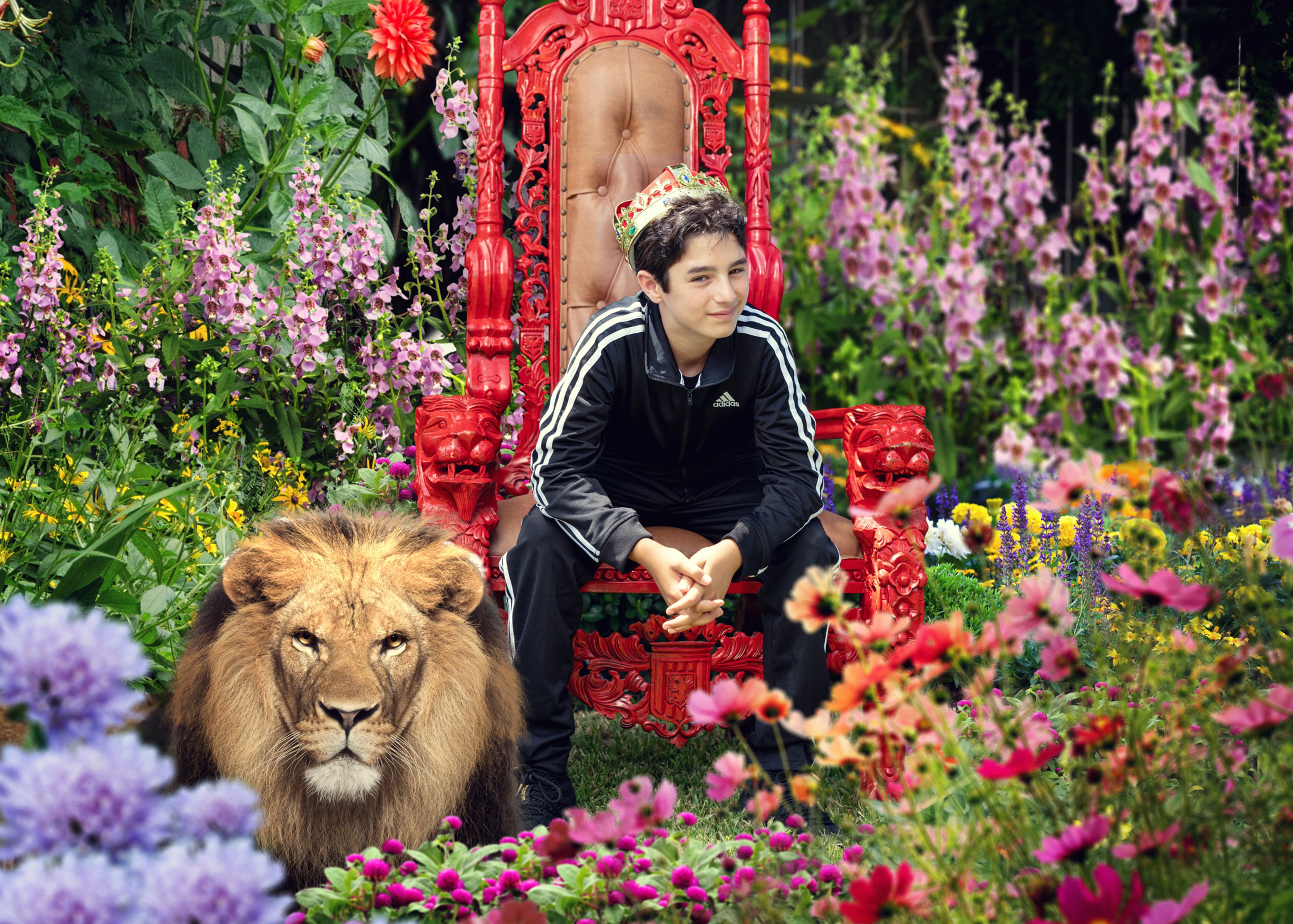 Cover photo of Suzanne Delawar Studios