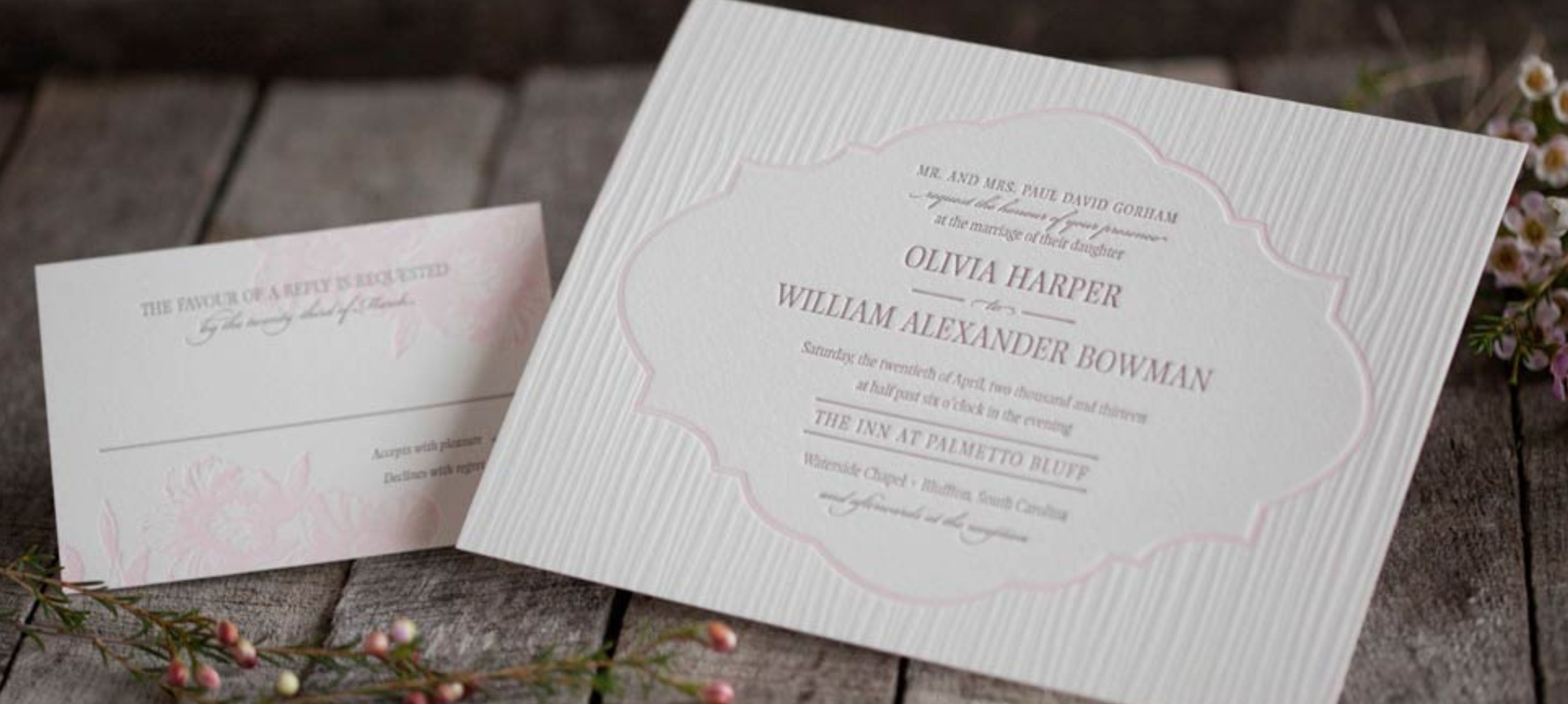 Cover photo of The Lettered Olive