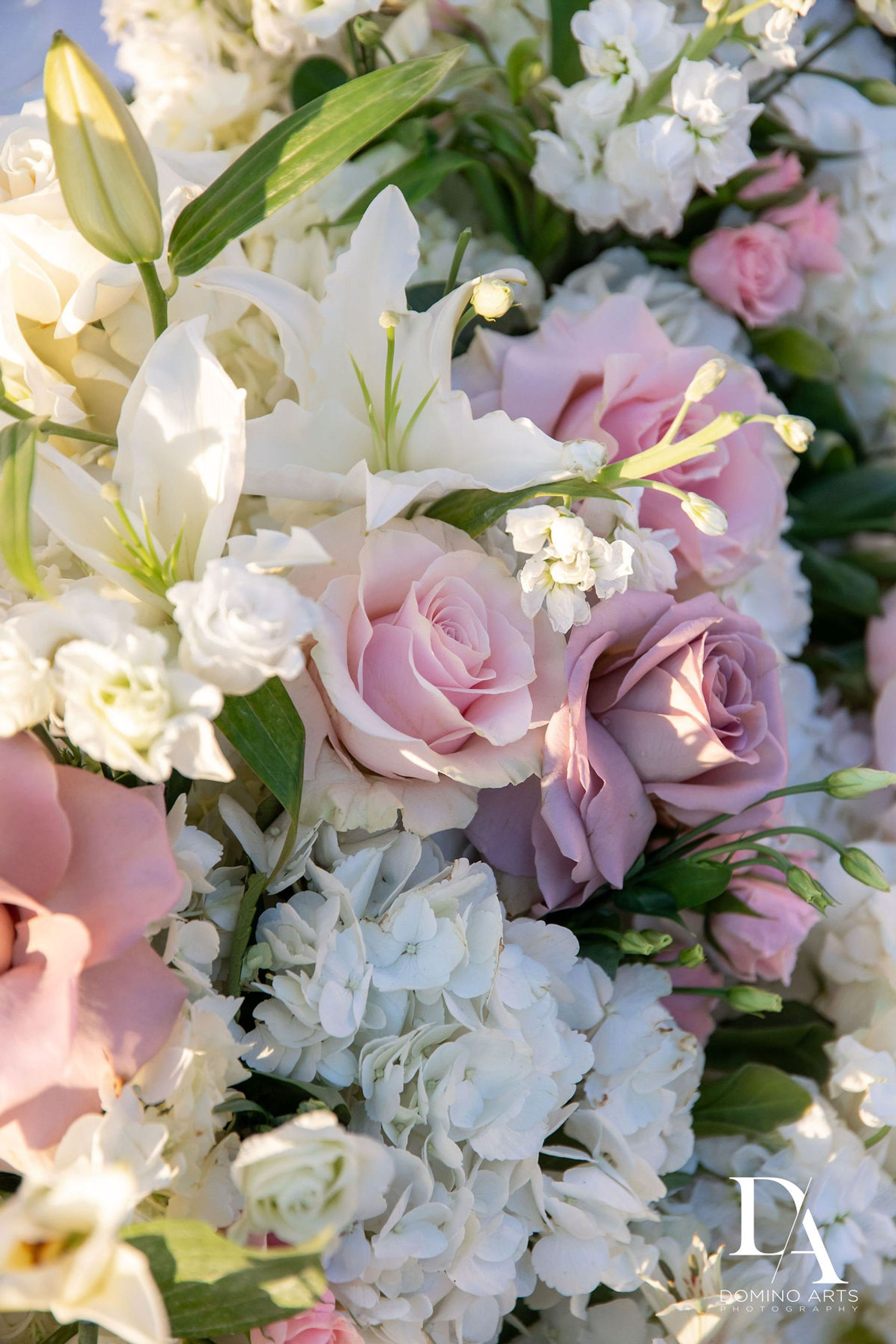 Cover photo of Domino Arts Photography