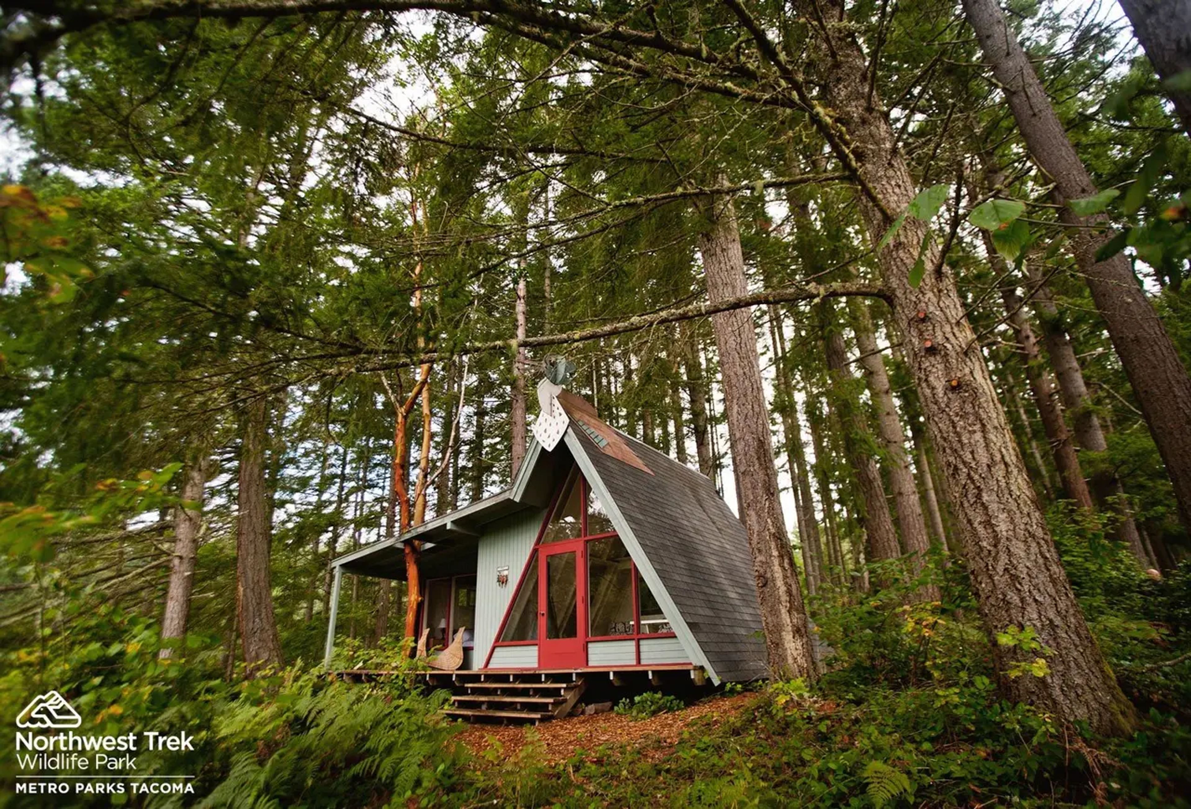 Cover photo of Northwest Trek Wildlife Park