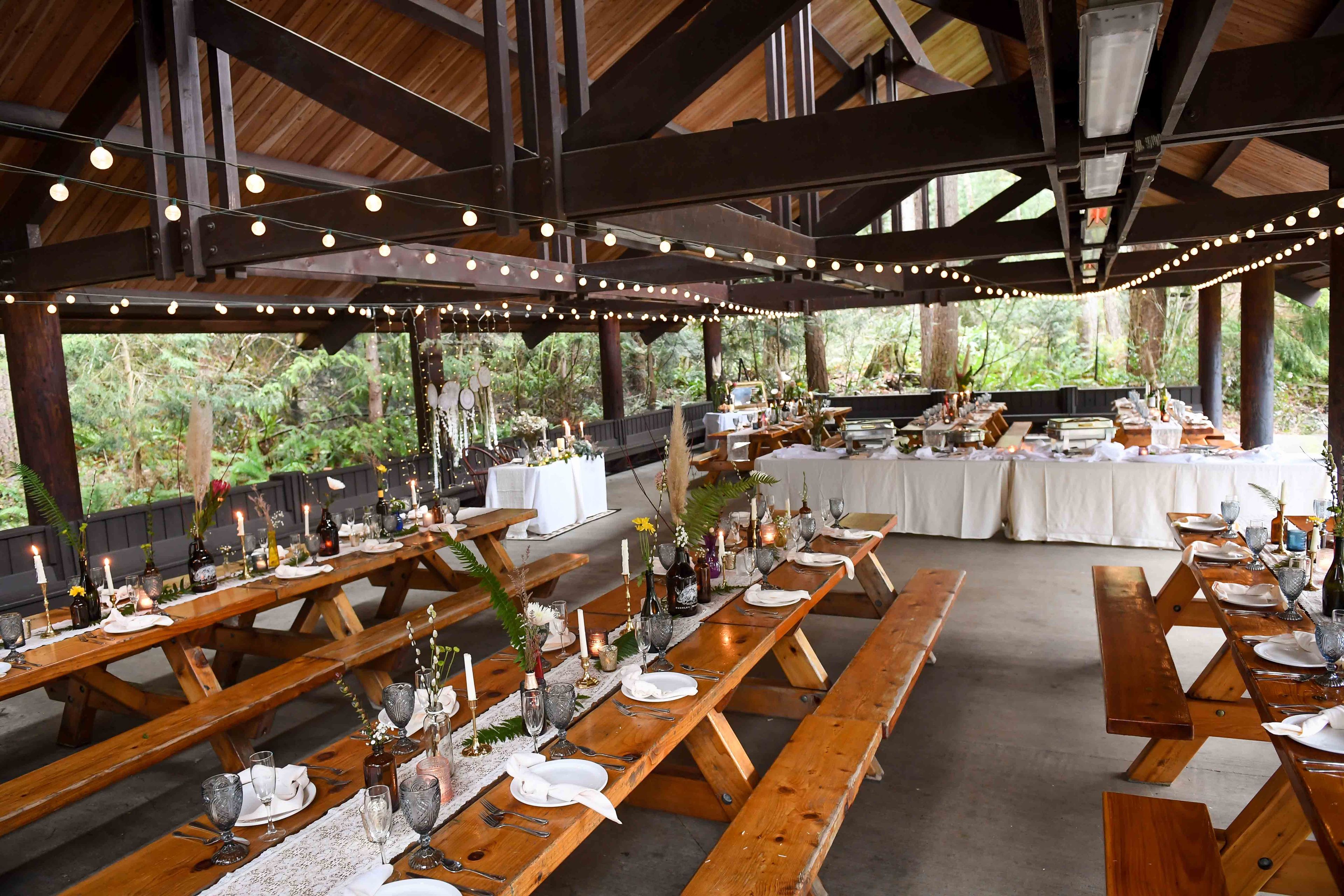 Cover photo of Northwest Trek Wildlife Park