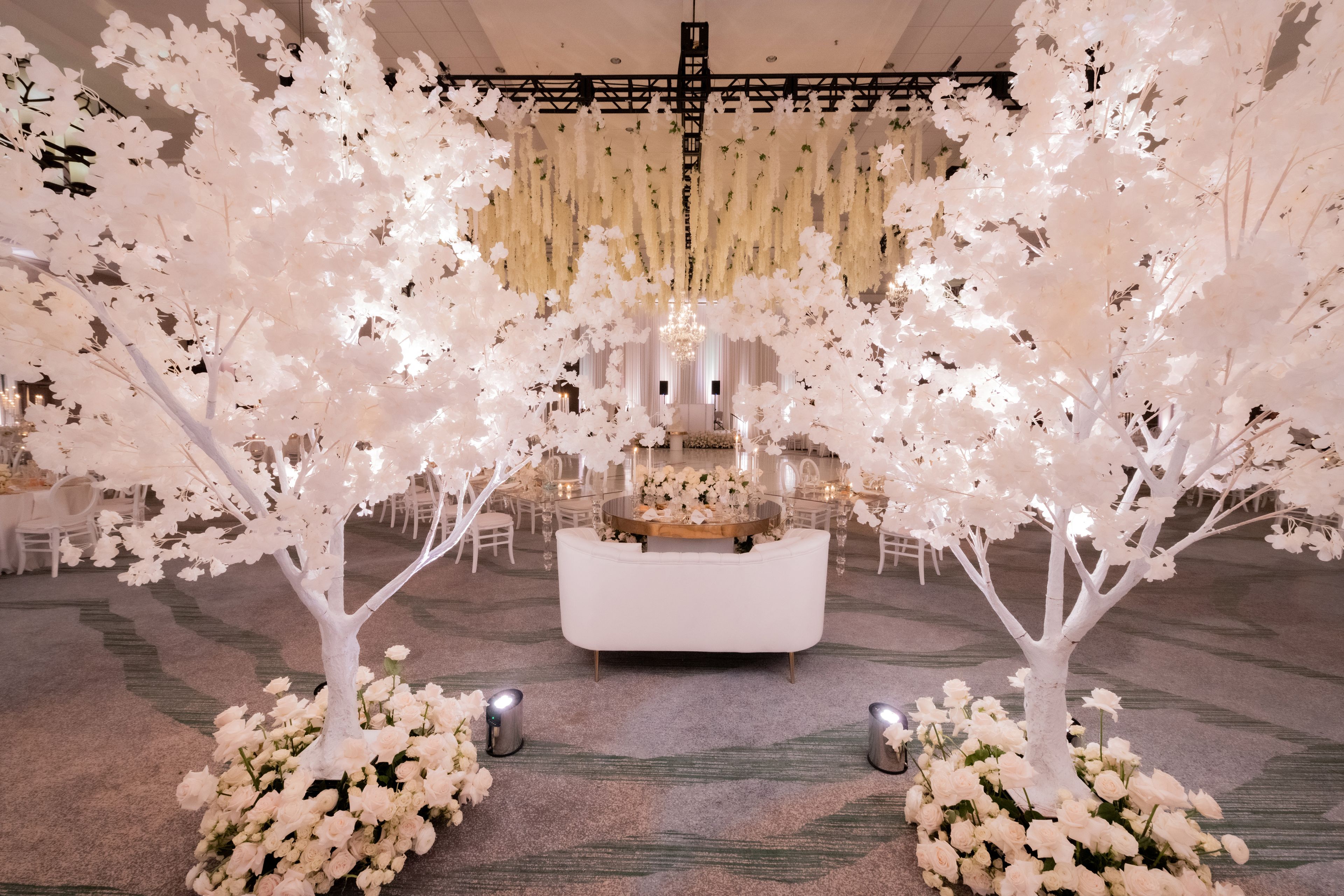 Cover photo of Isabelle Kline Design