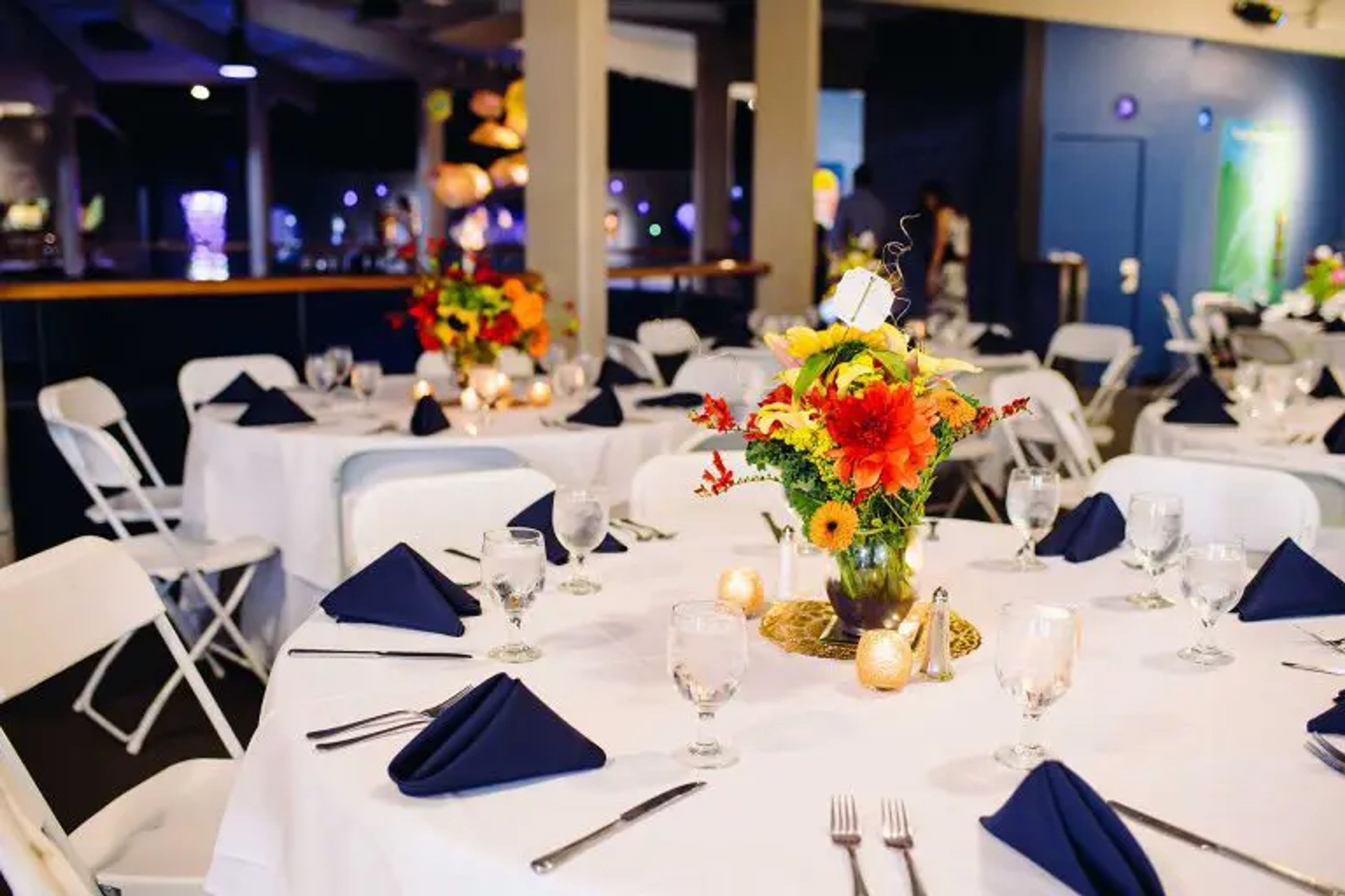 Cover photo of Point Defiance Zoo & Aquarium