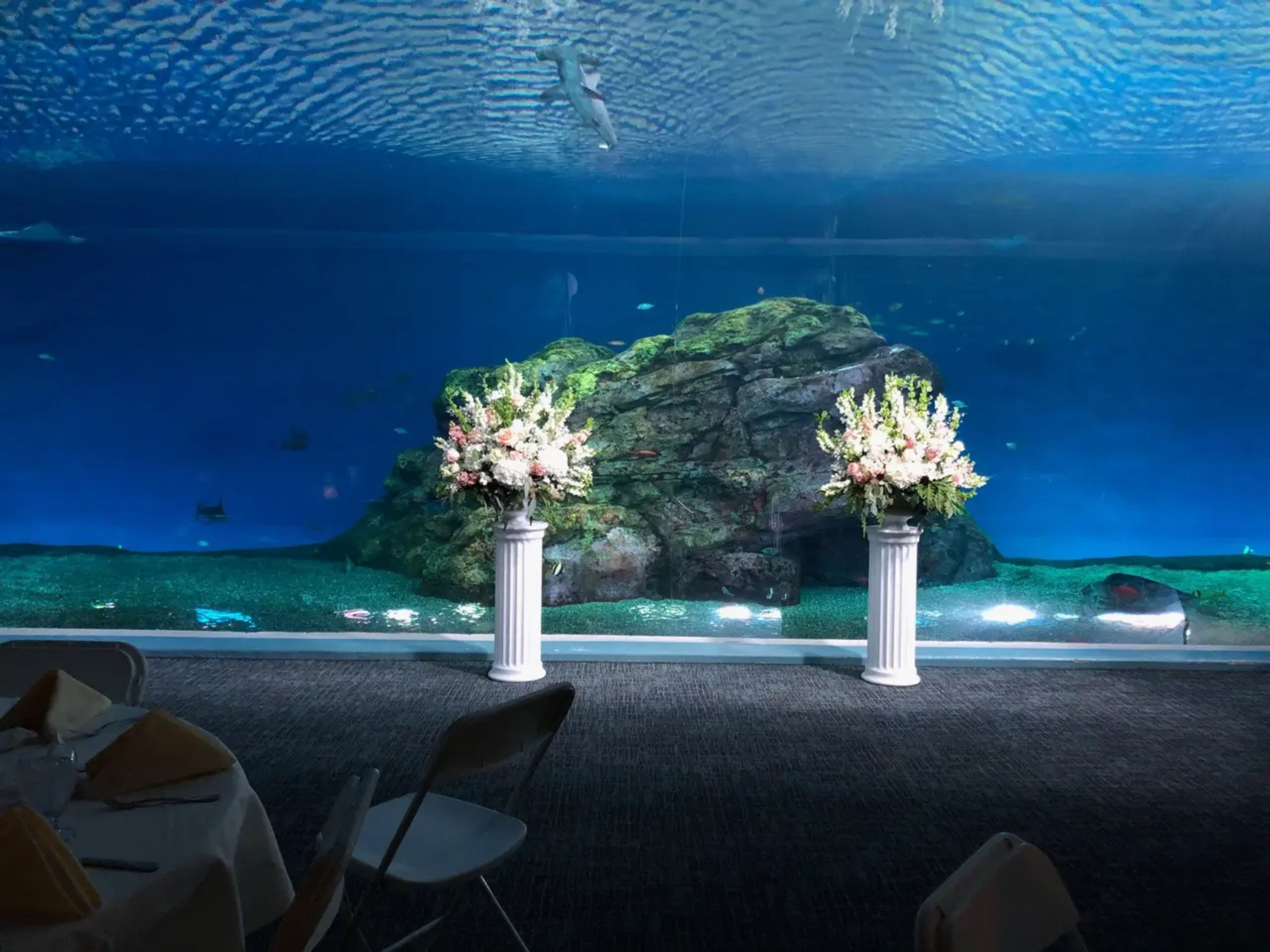 Cover photo of Point Defiance Zoo & Aquarium