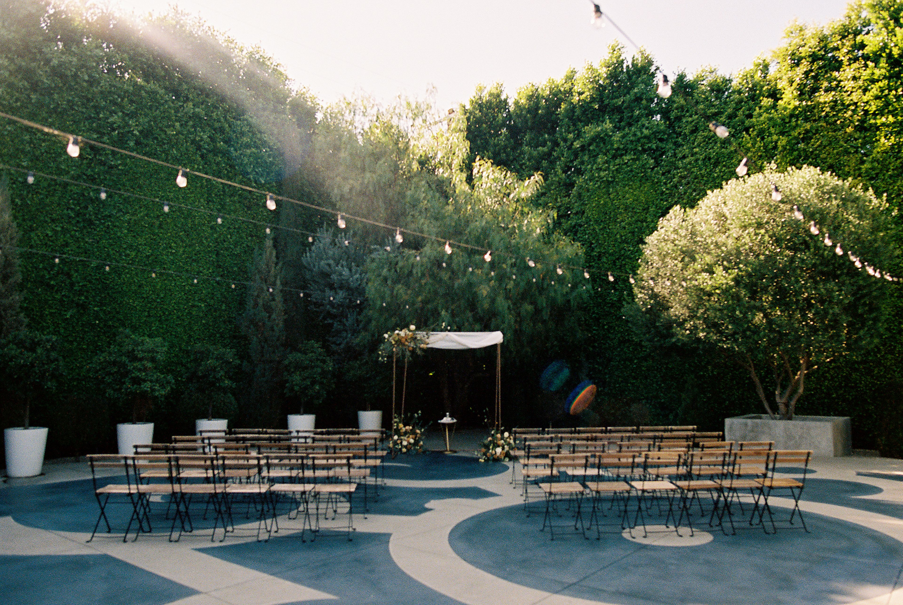 Cover photo of The Fig House