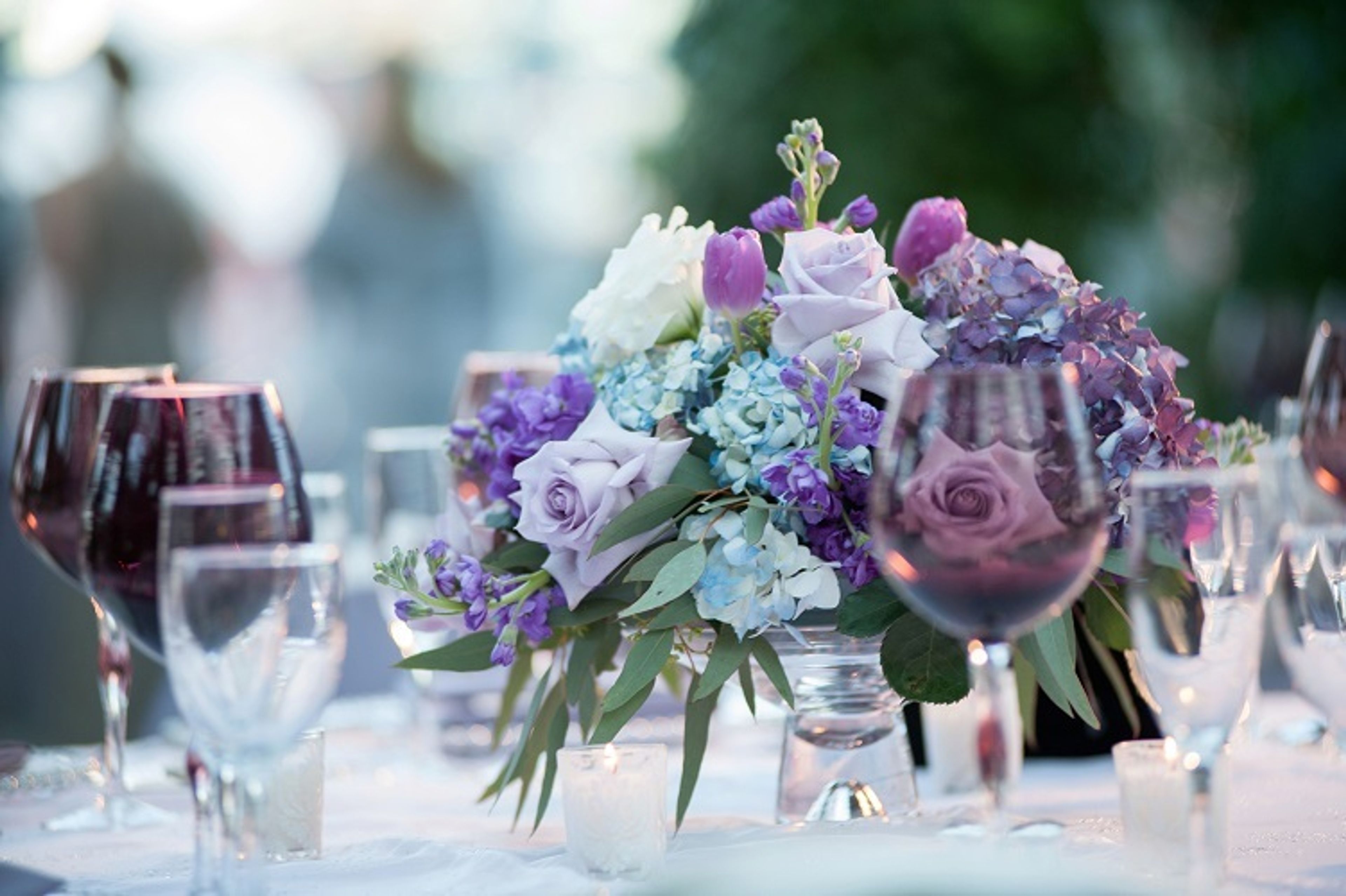 Cover photo of Virginia Wolff Inc.