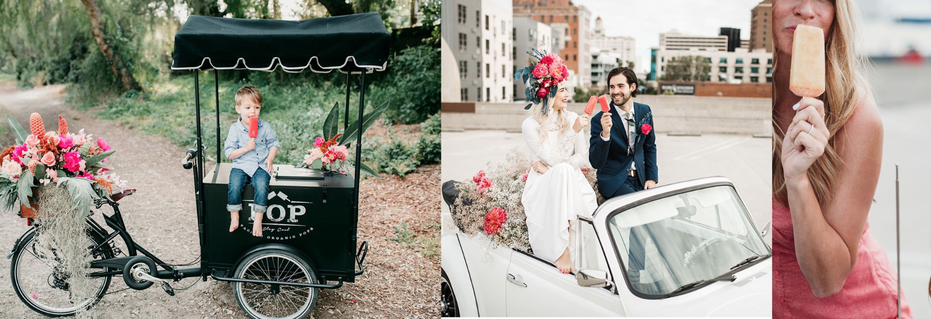 Cover photo of Pacific Organic Pops