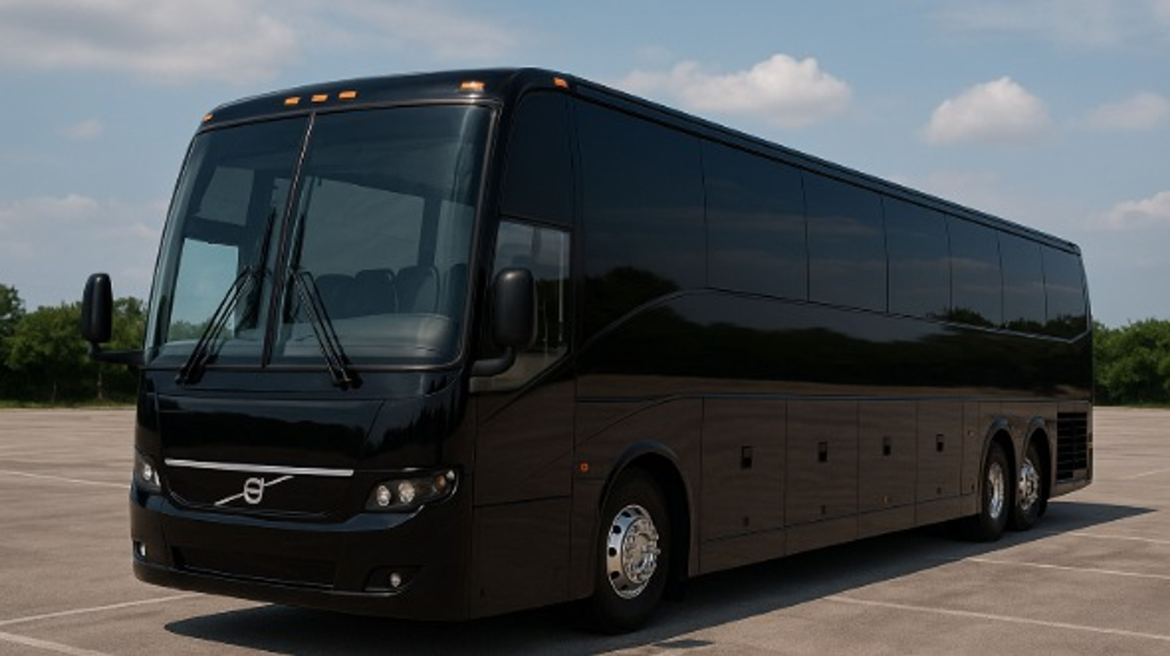 Cover photo of North Las Vegas Party Bus Company