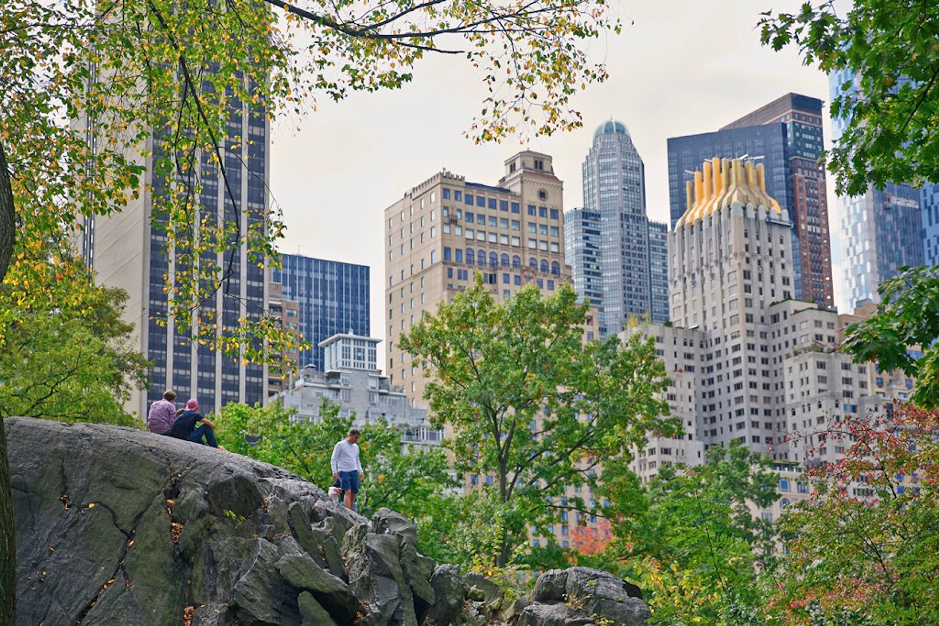Featured photo from The Gardens Sonesta ES Suites New York