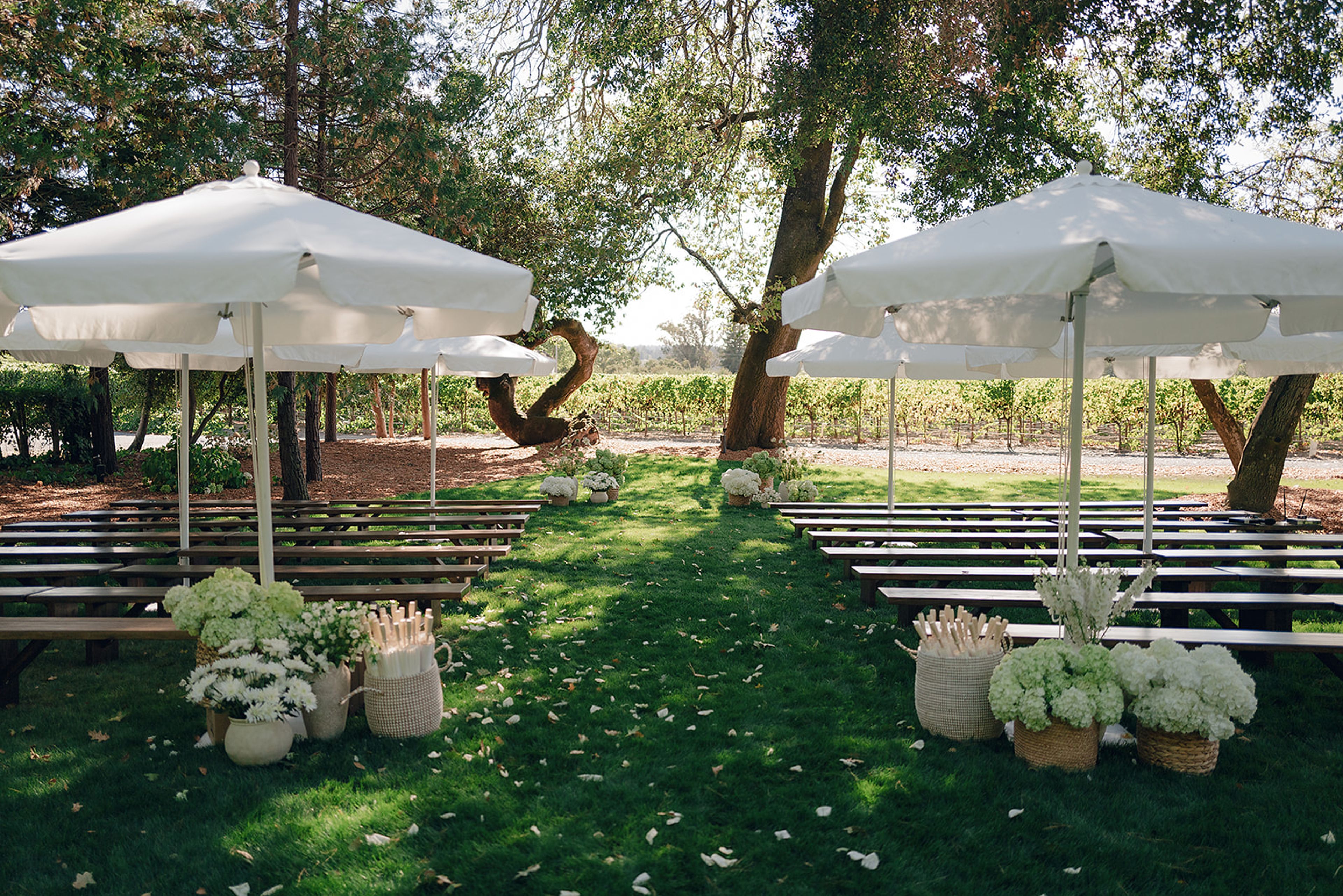 Featured photo from Dutton Estate Winery