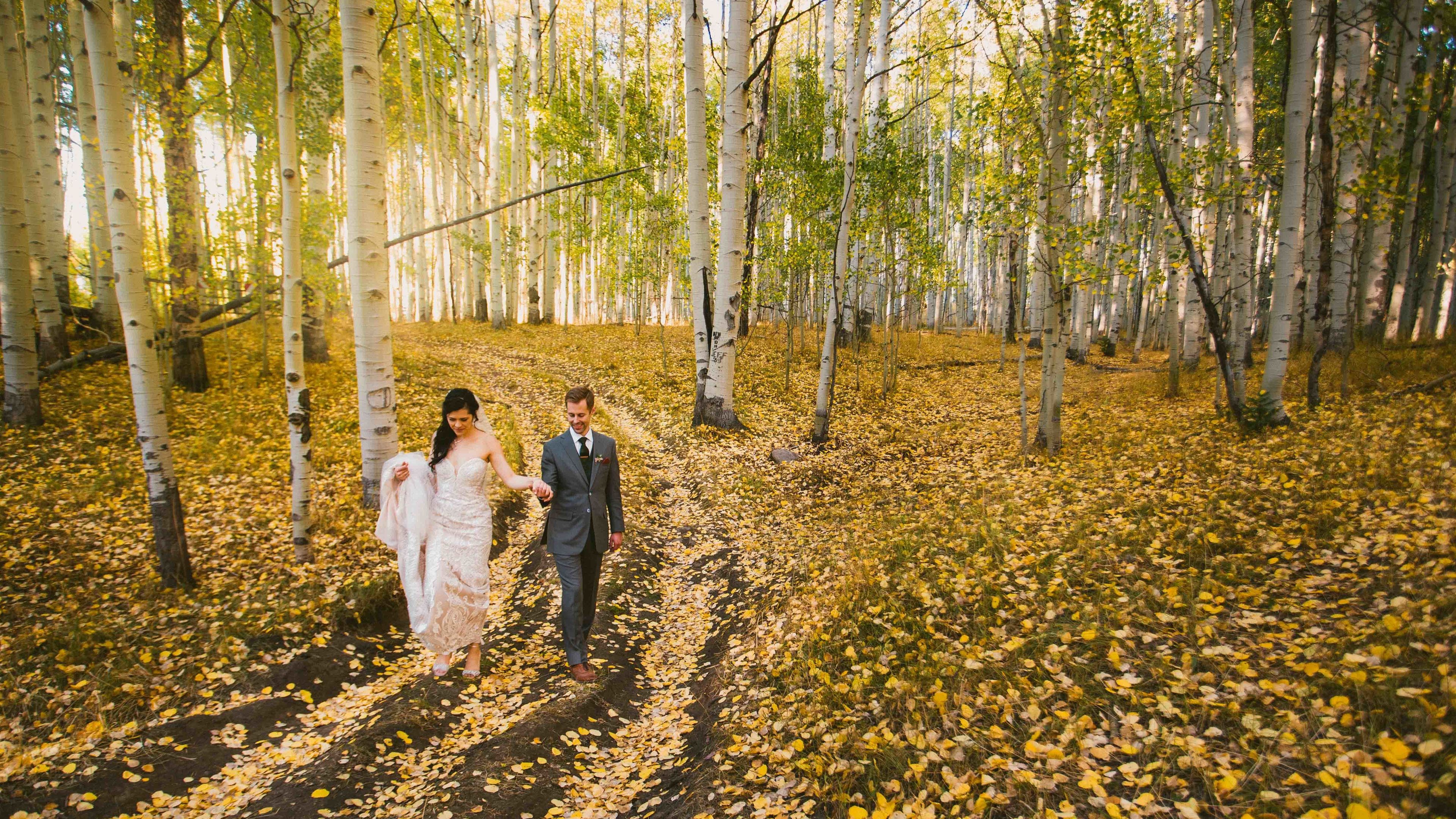 Cover photo of MSW Photos