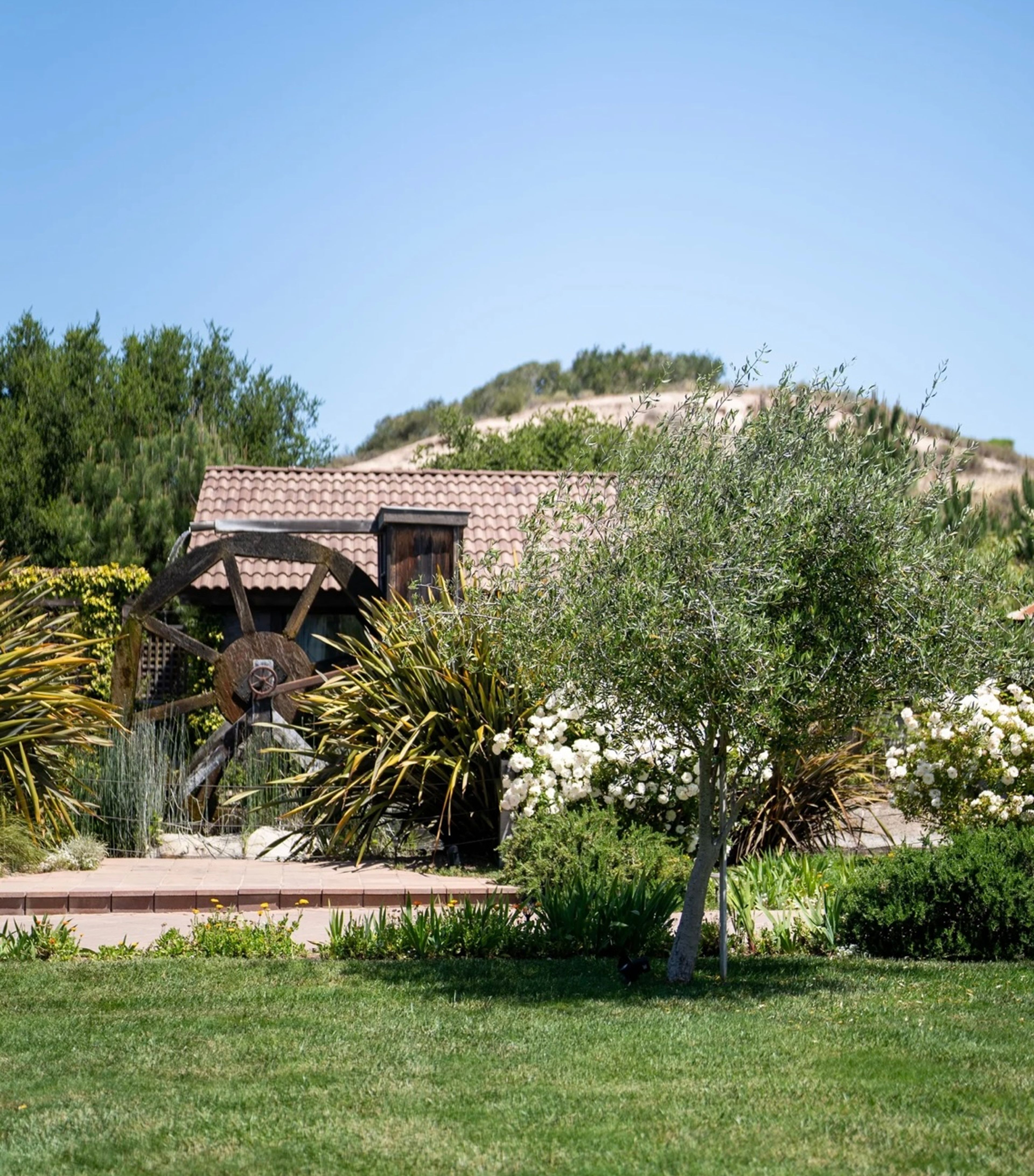 Cover photo of La Arboleda
