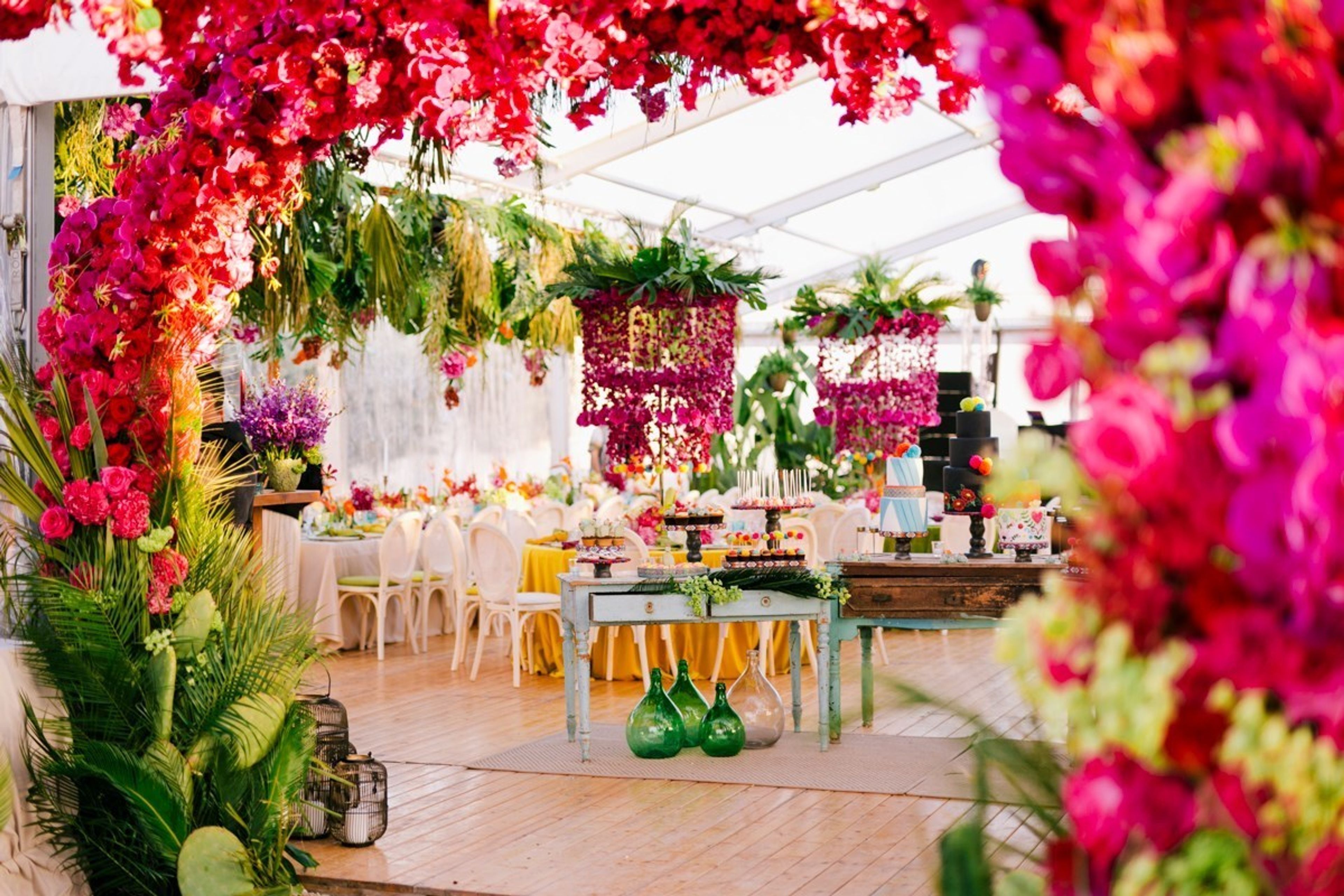 Cover photo of Federica Ambrosini