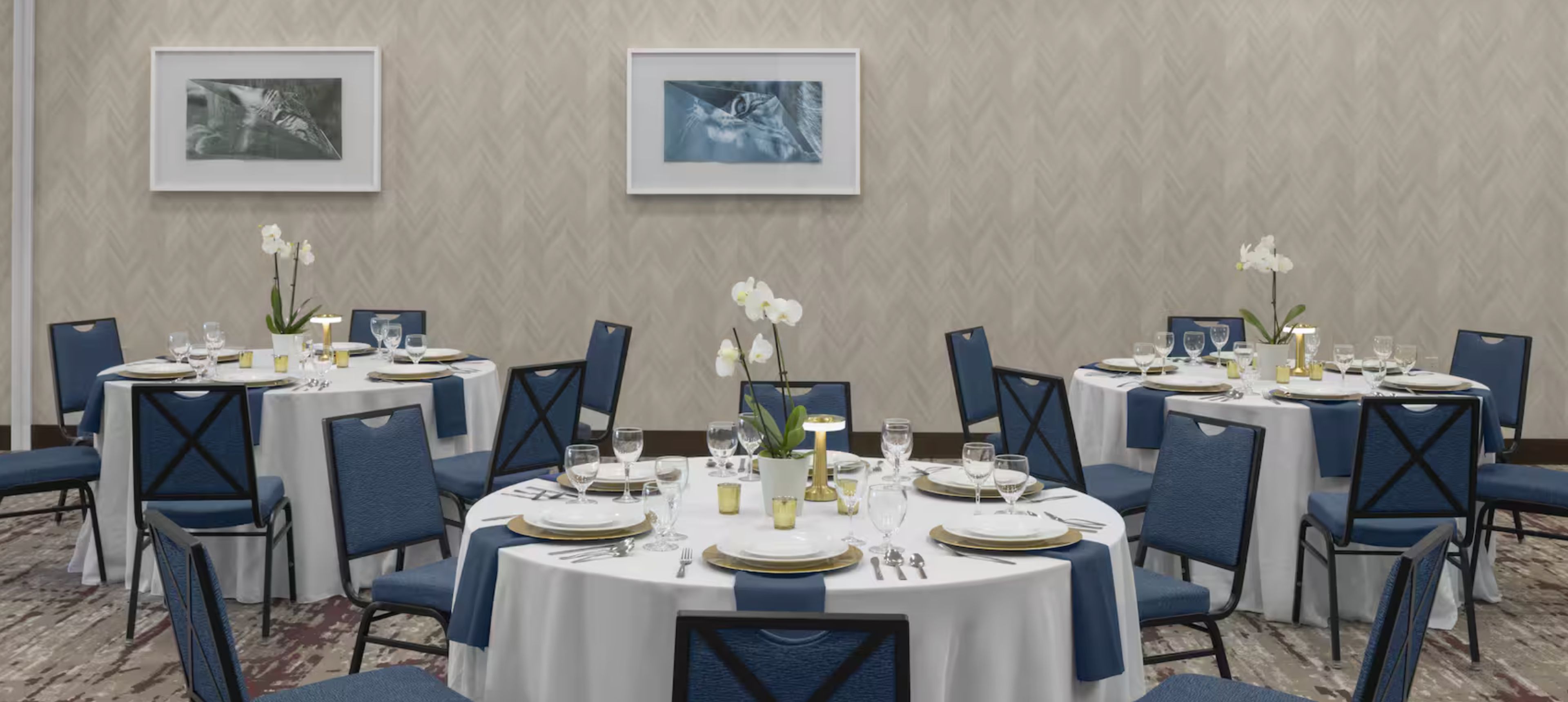 Featured photo from Hilton Garden Inn San Marcos