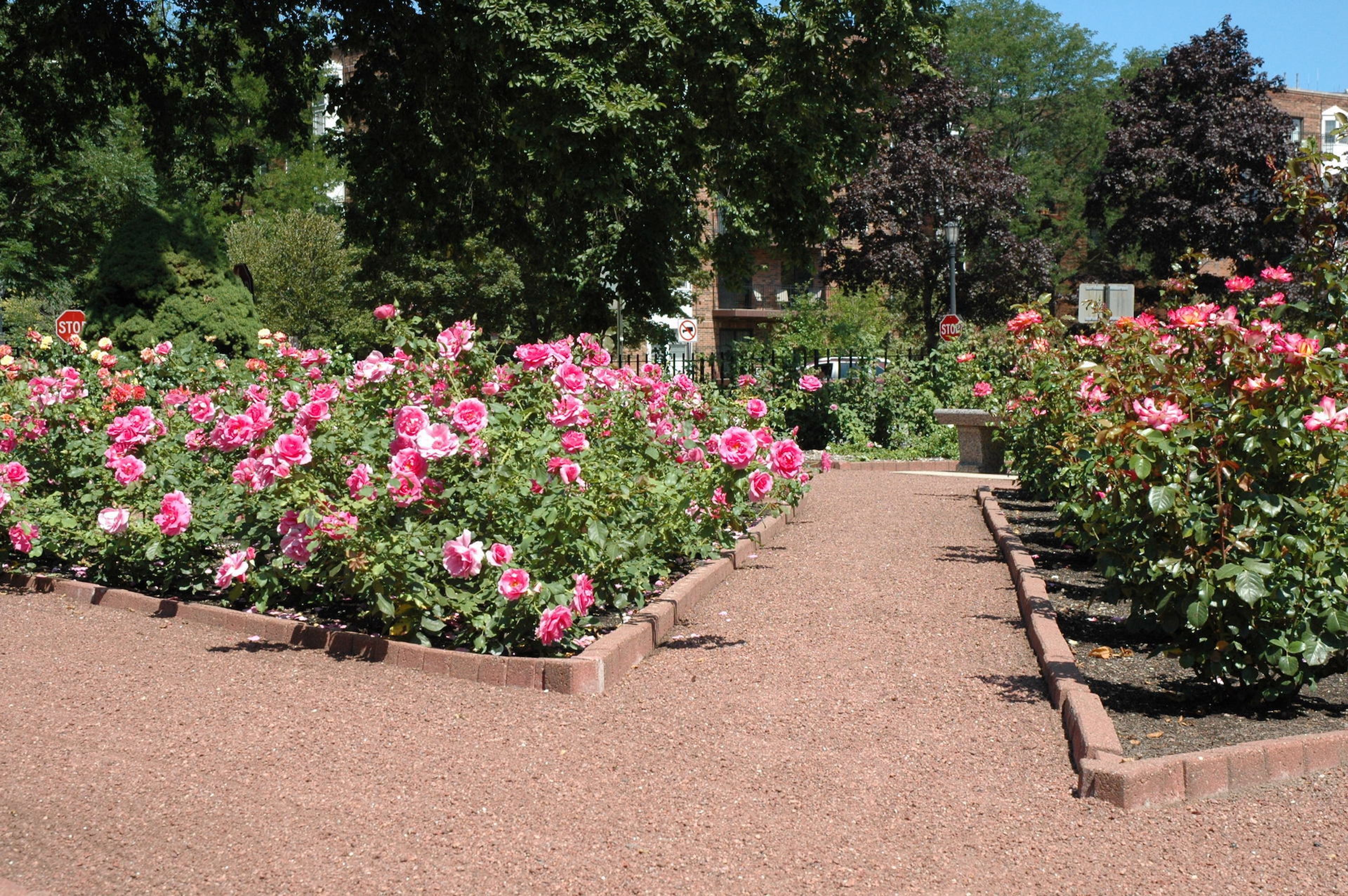 Cover photo of Merrick Rose Garden