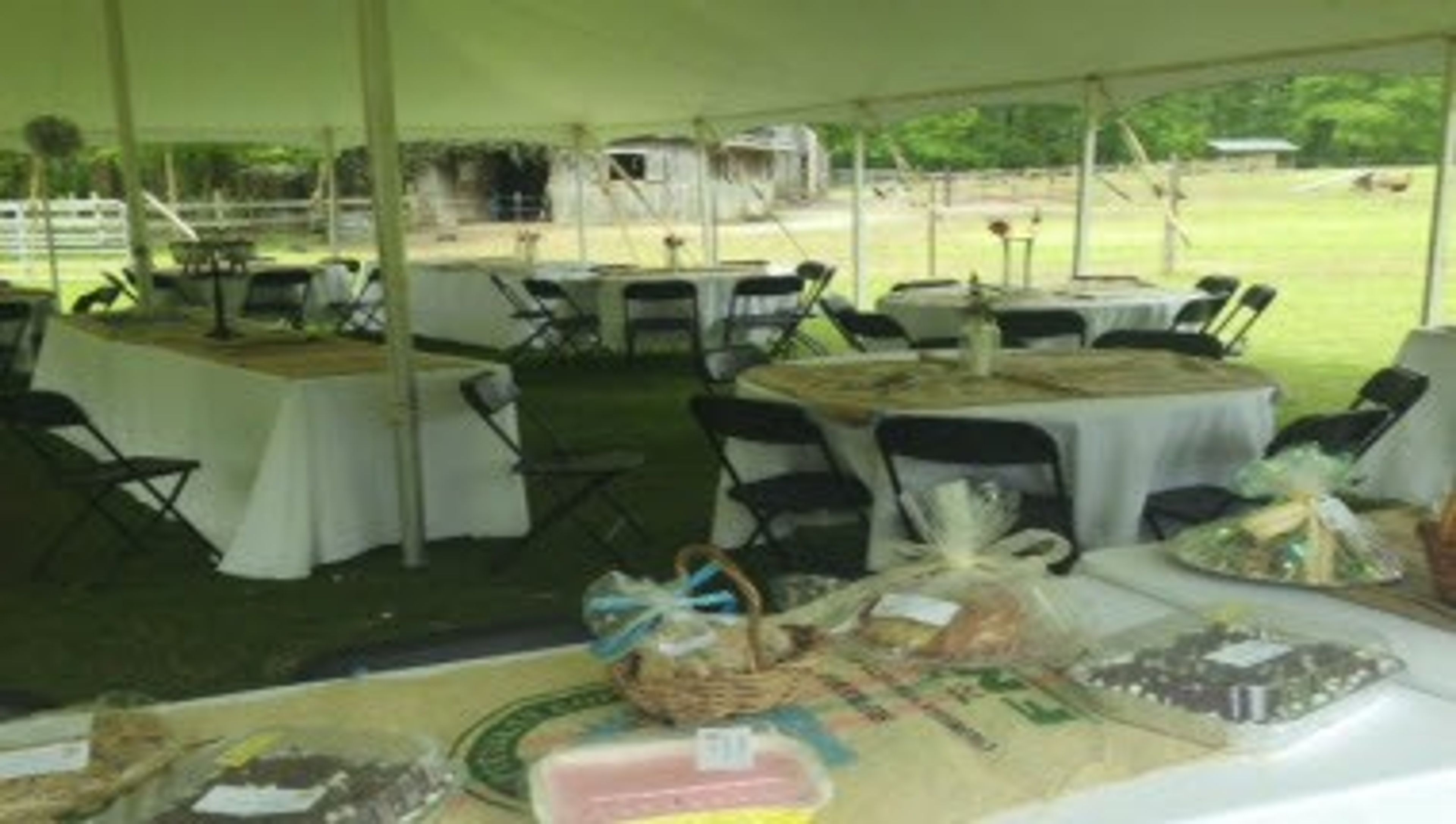 Featured photo from St. Florian Fiber Farms